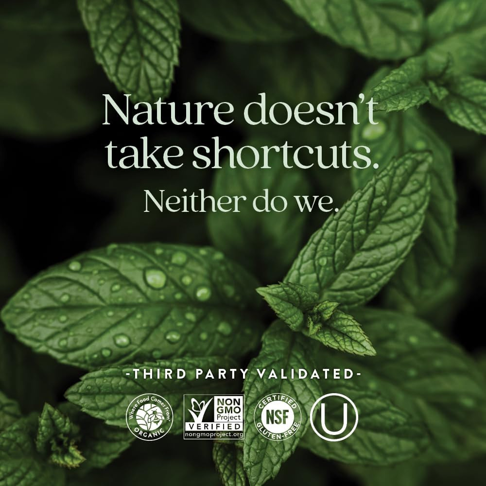 New Chapter Fermented Iron Complex - 60 Tablets