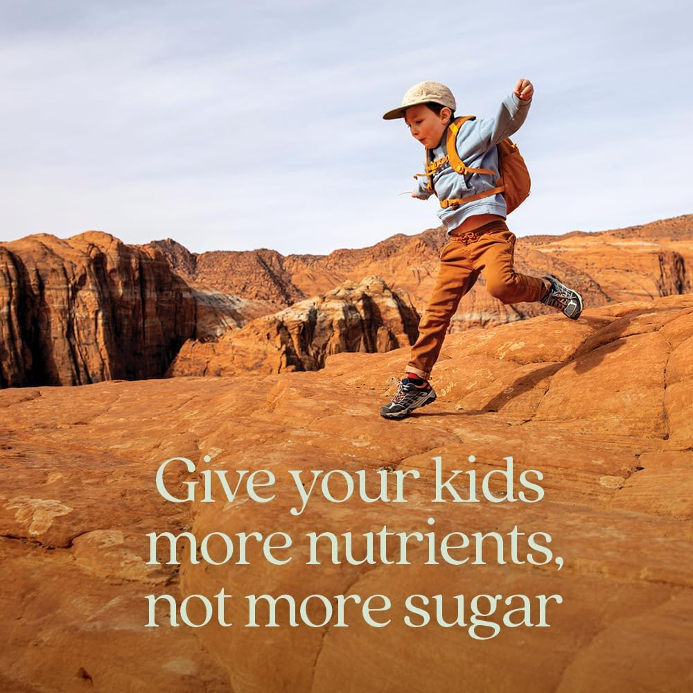 New Chapter Kid's Multivitamin Gummies - 60 Gummies
