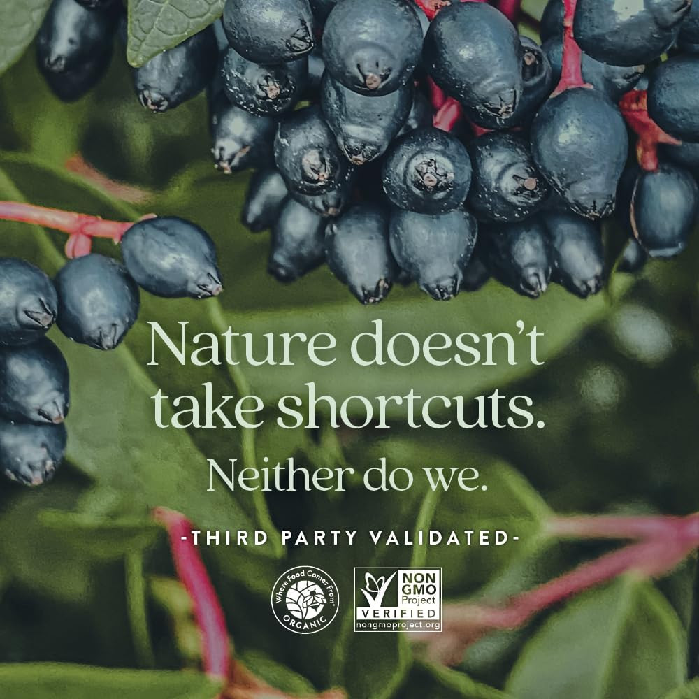 New Chapter Women's Multivitamin Gummies - 75 Gummies