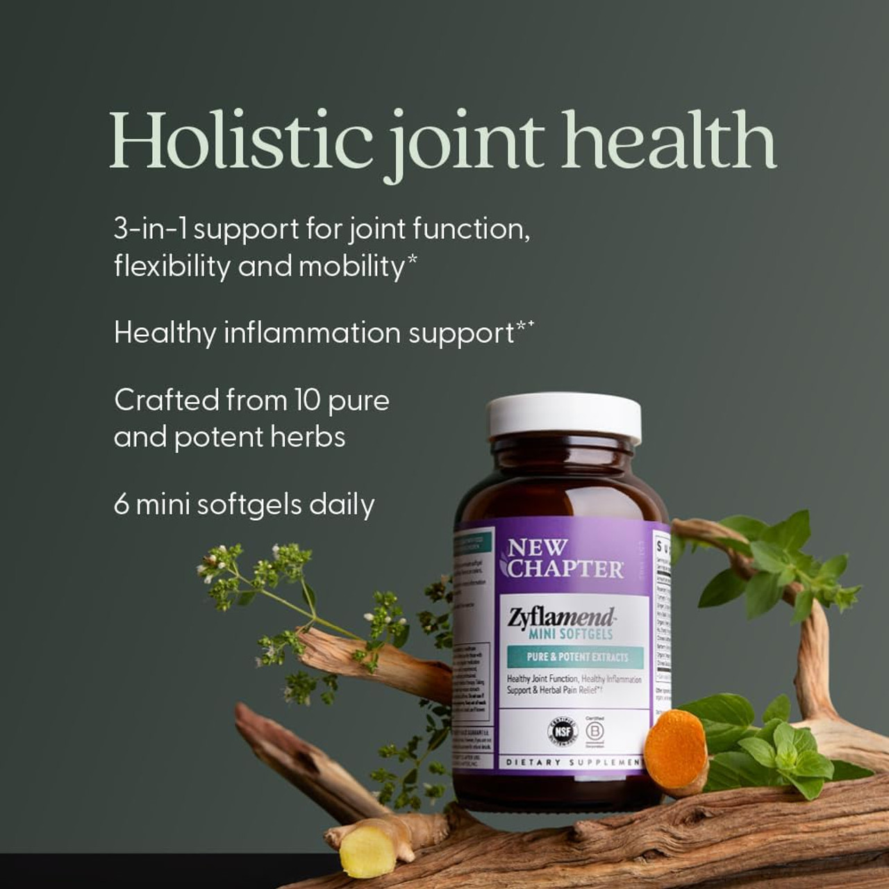 New Chapter Zyflamend - 180 Softgels