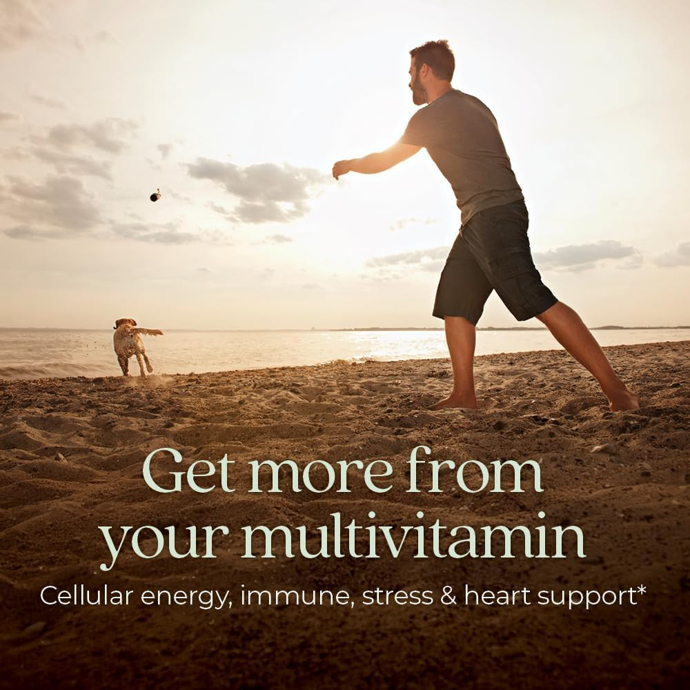 Man throwing a ball for a dog on the beach, get more from your multivitamin graphic