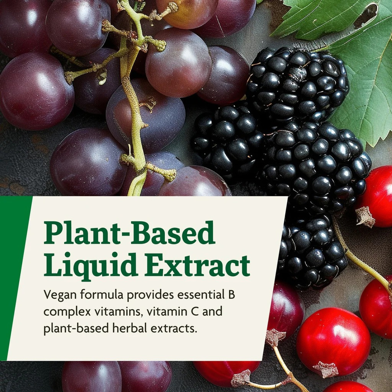 Floradix Floravital Iron & Herbs Yeast-Free