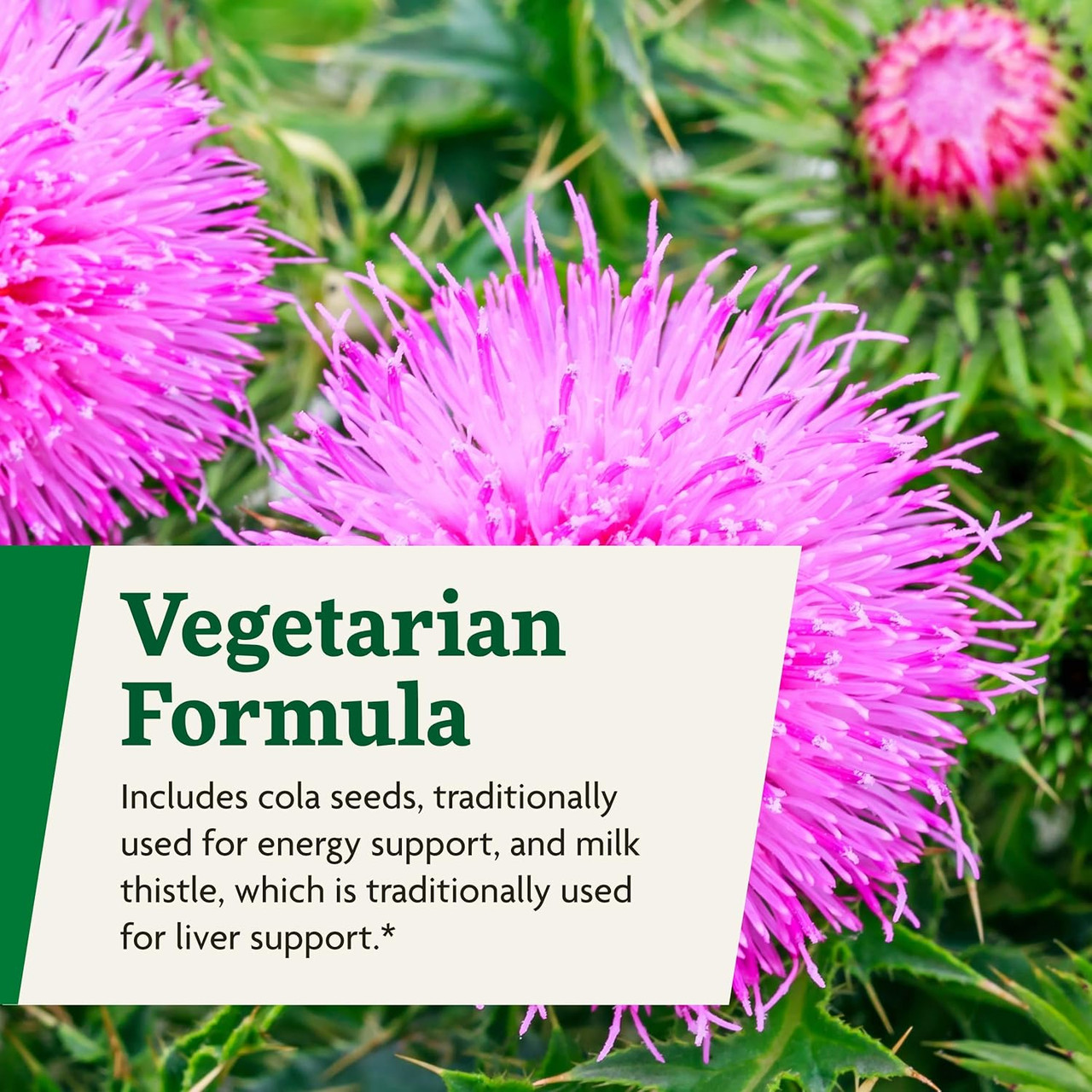 Floradix Epresat Adult Multivitamin - 250 Milliliters