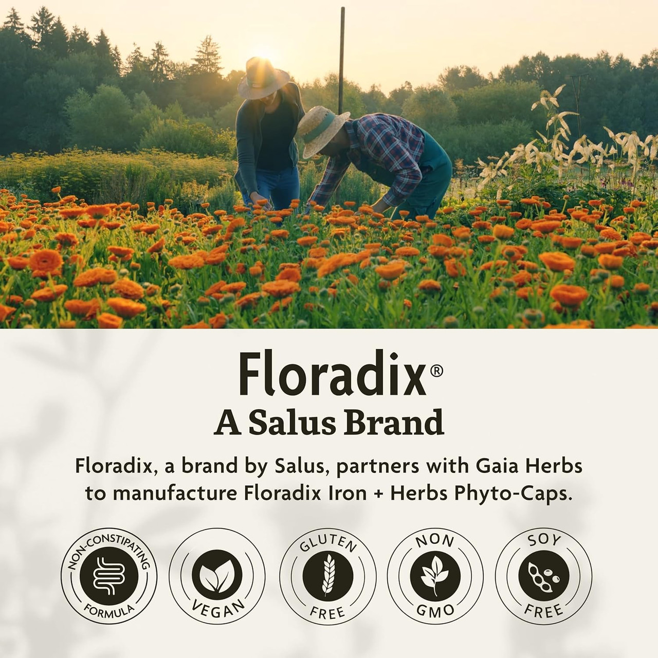 Floradix Iron & Herbs Phyto Caps - 120 Capsules