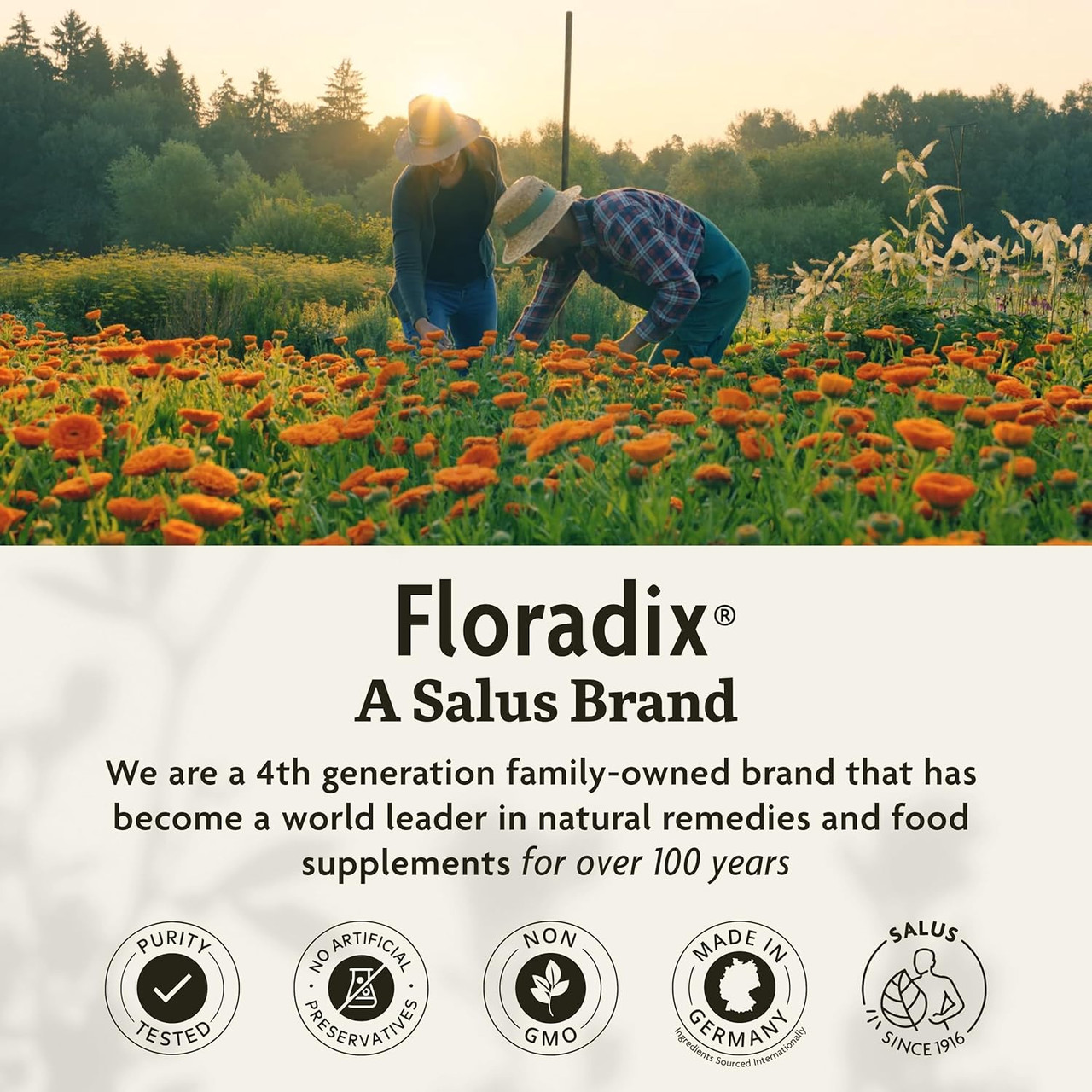 Floradix Calcium-Magnesium Liquid - 250 Milliliters