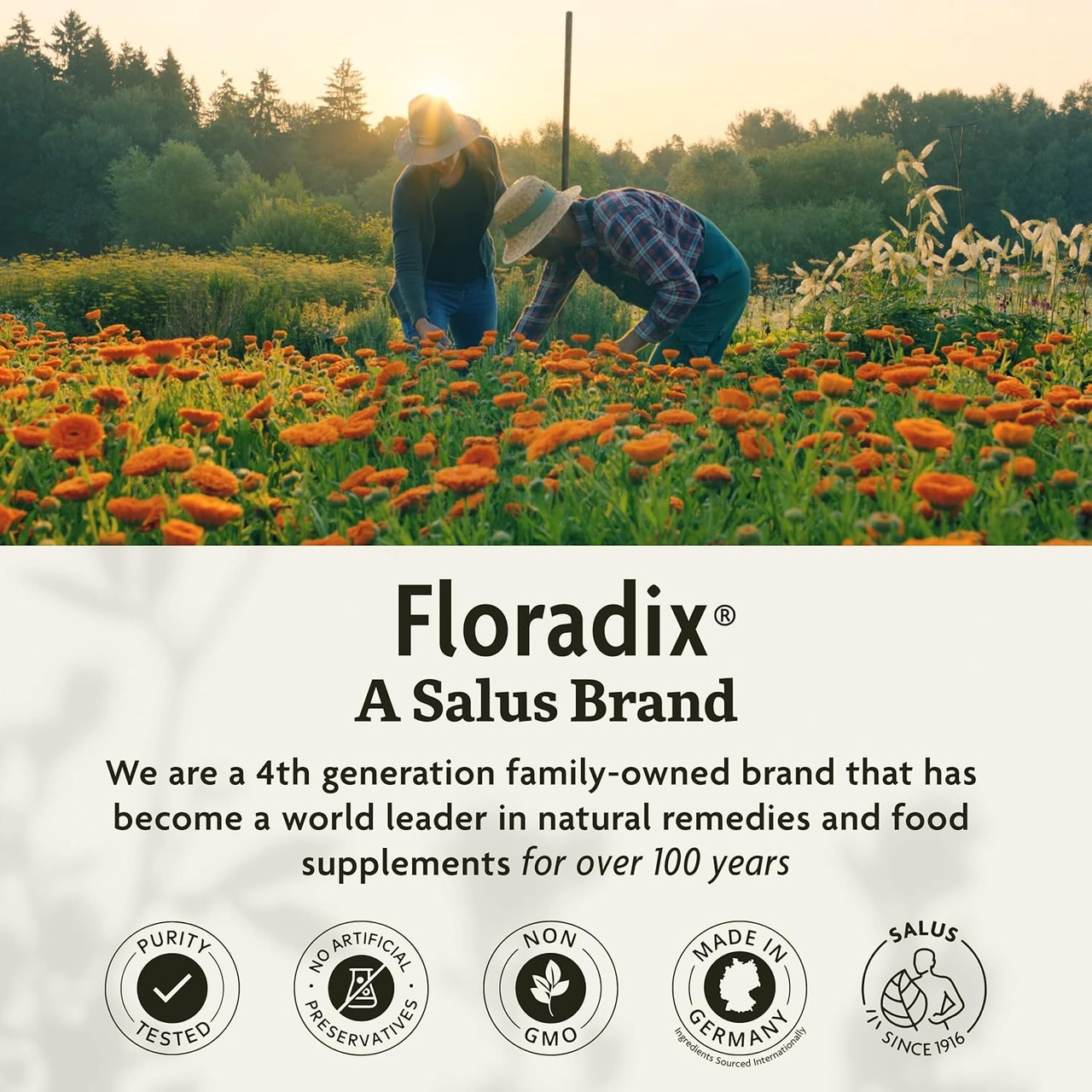 Farmers in a marigold field, Floradix a Salus brand, family-owned for over 100 years graphic
