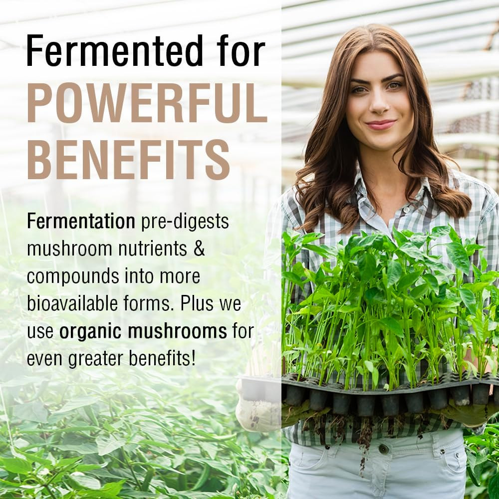 Solaray Organically Grown Fermented Royal Agaricus Mushroom - 60 Capsules