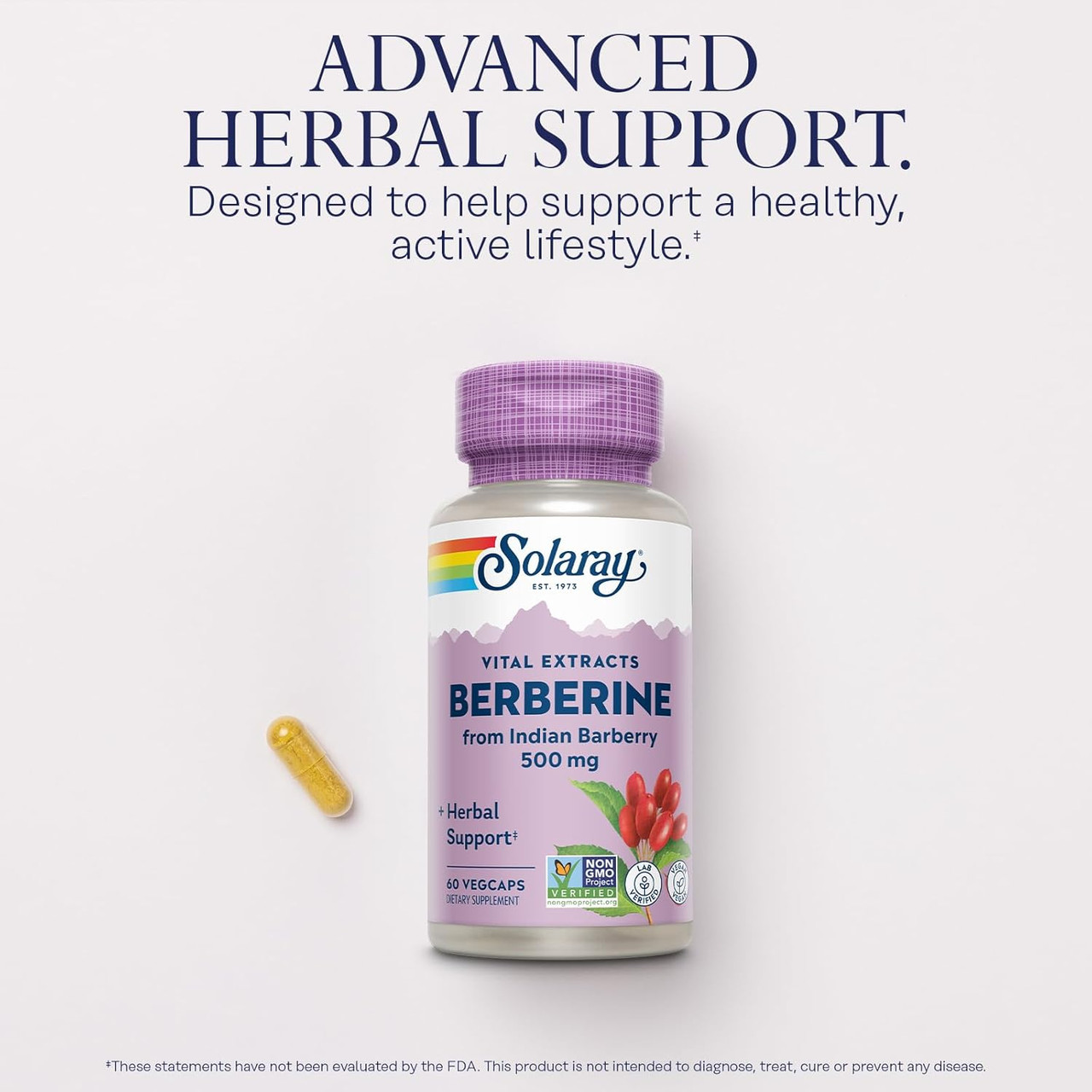 Solaray Berberine 500mg - 60 Capsules