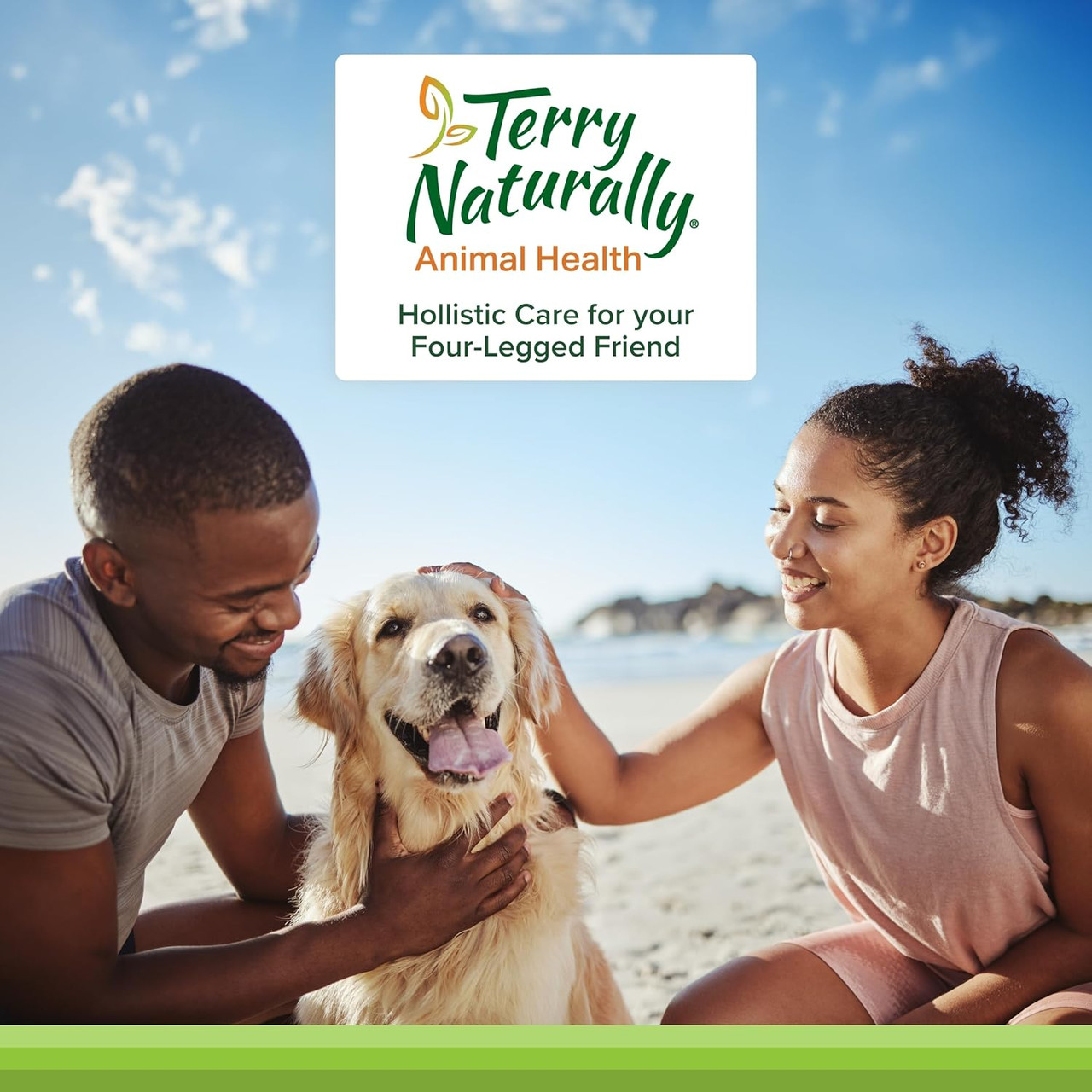 Couple with golden retriever on beach, Terry Naturally Animal Health holistic care graphic