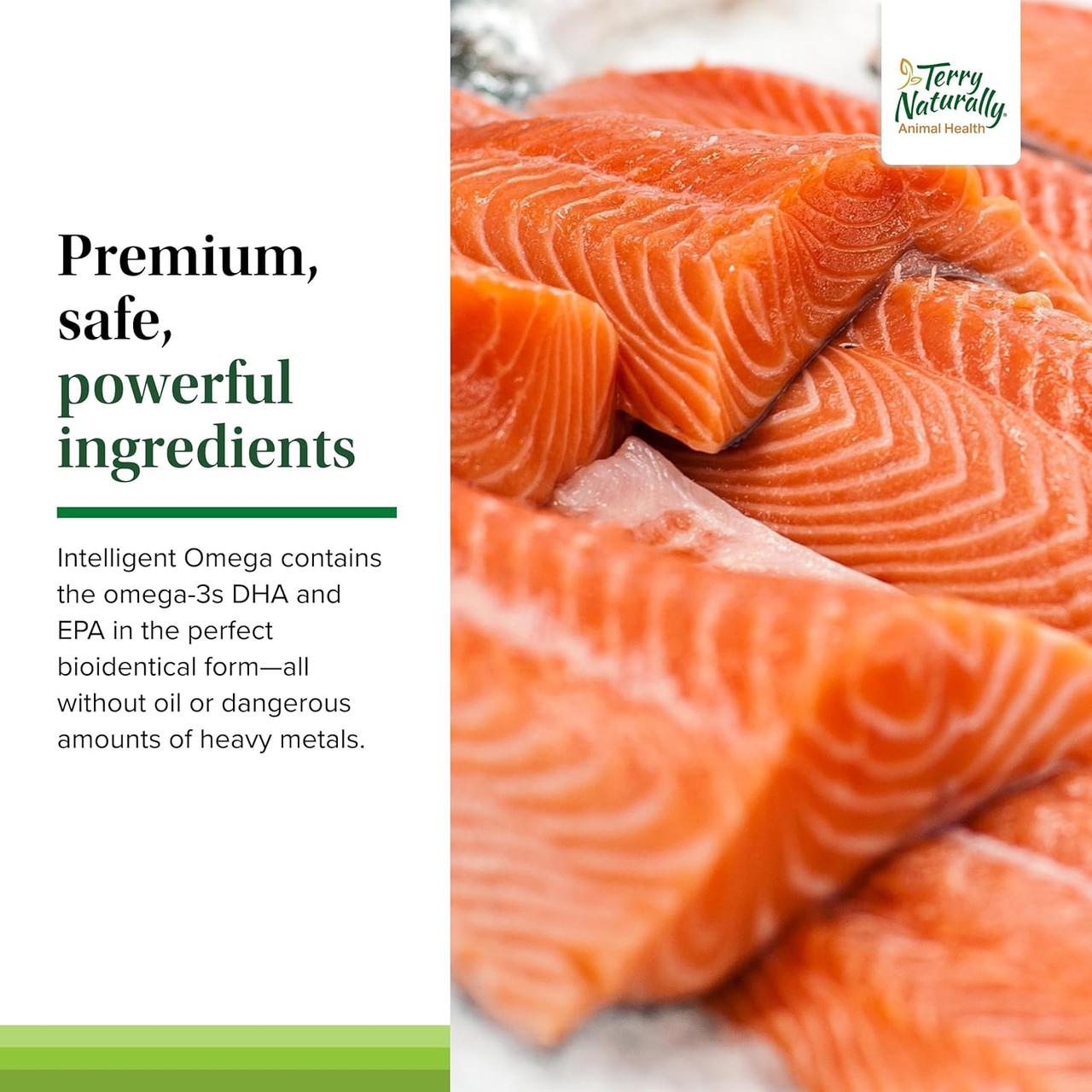 Salmon fillets, Intelligent Omega premium bioidentical DHA EPA no heavy metals graphic