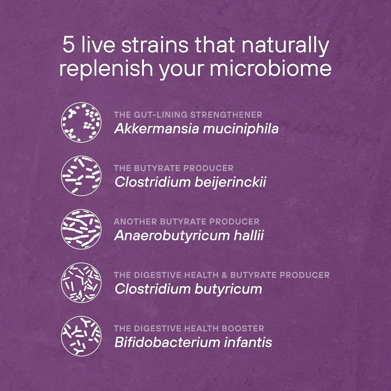 List of five live probiotic strains with icons