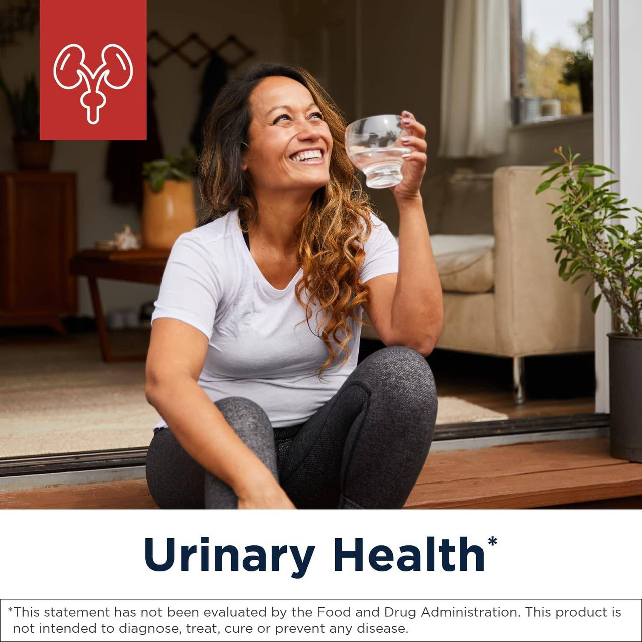 Designs for Health Kidney Korrect - 60 Capsules