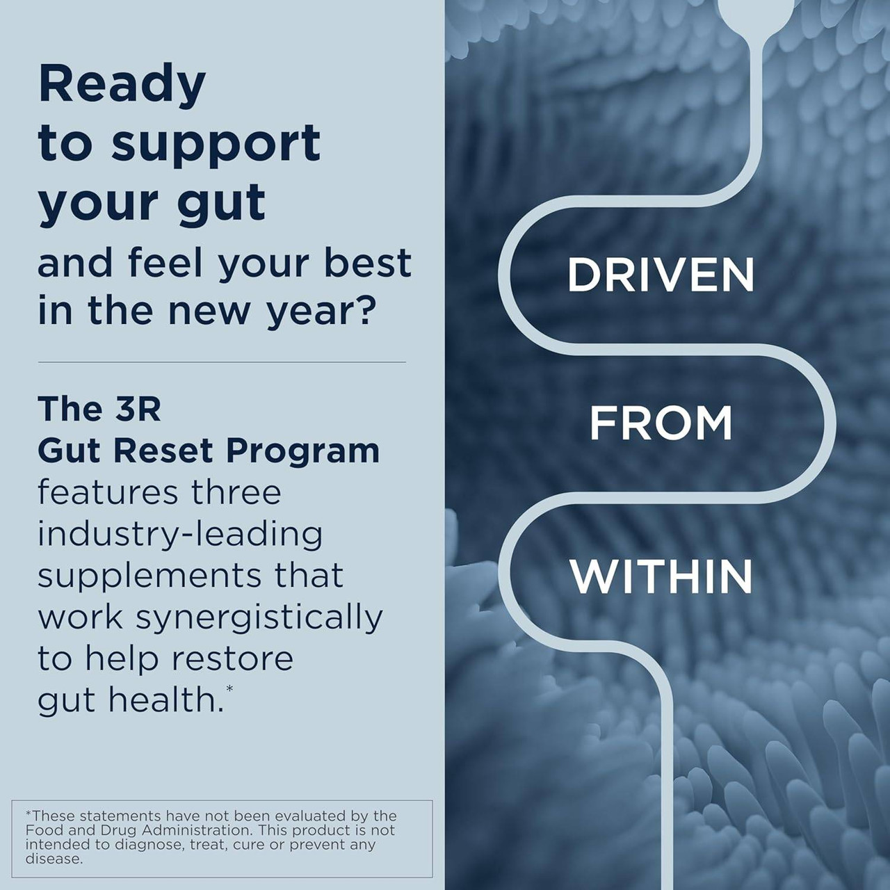 Designs for Health IgGI Shield - 120 Capsules