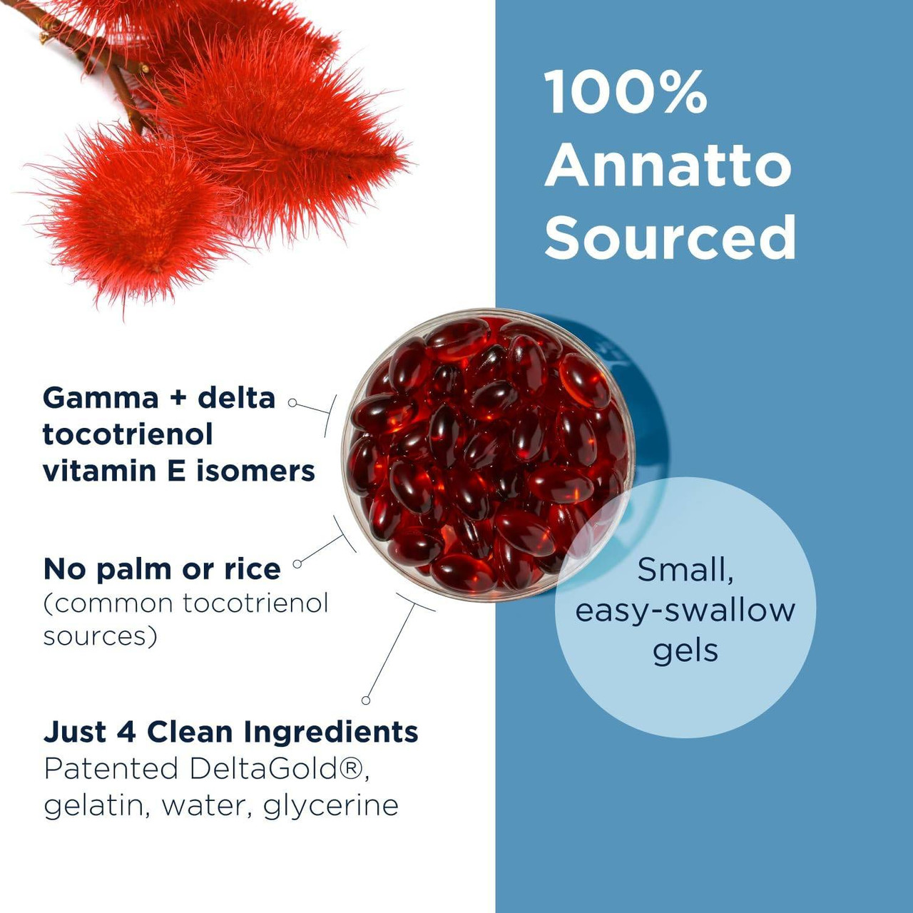 Designs for Health Annatto-E