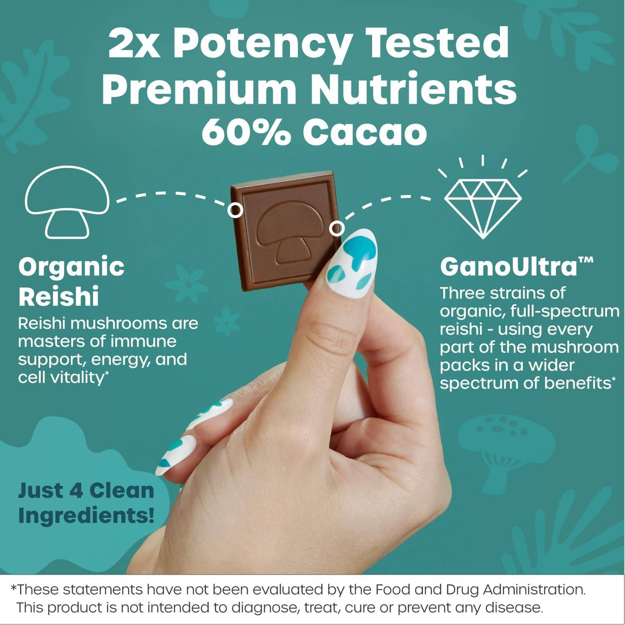 Designs for Health Fx Chocolate Defend