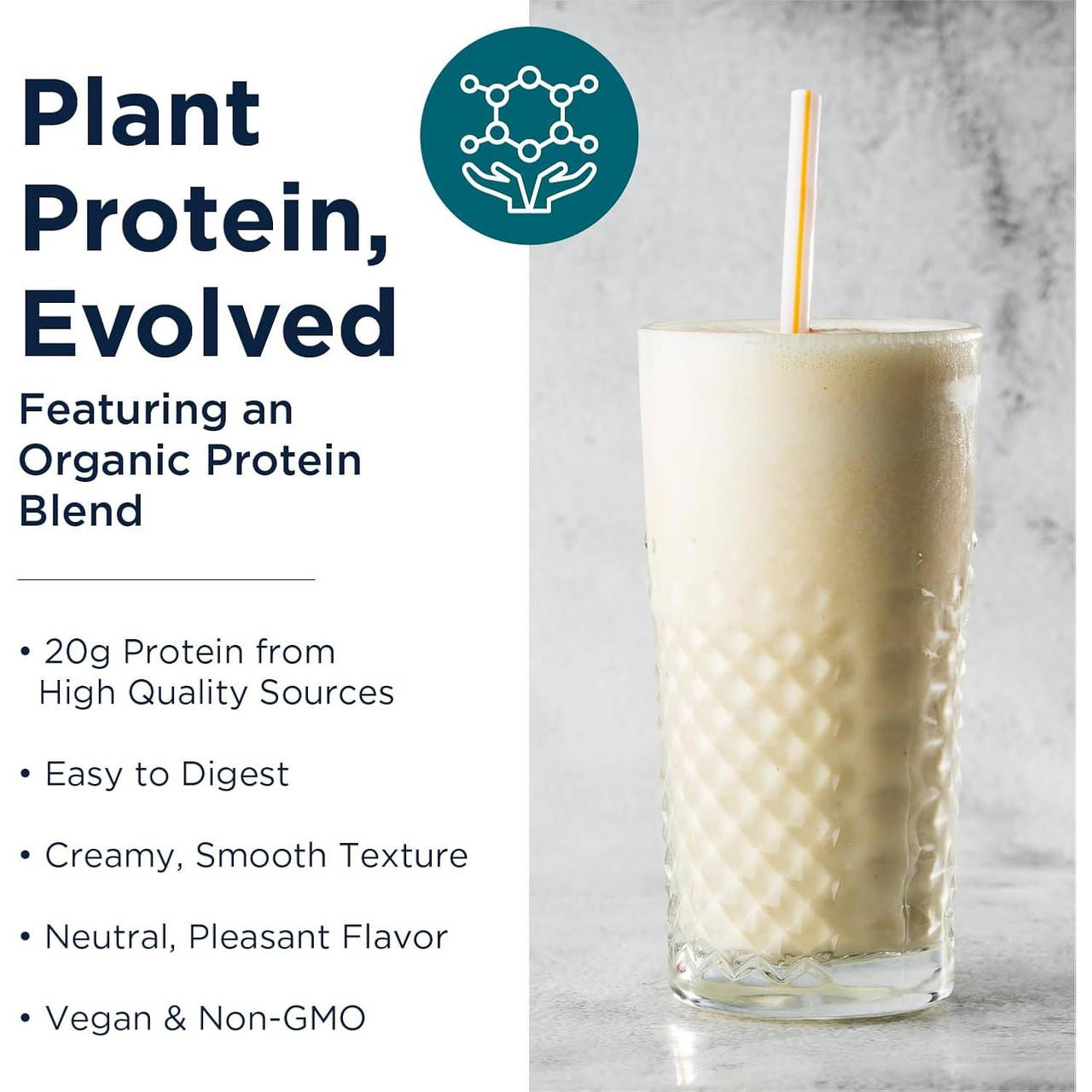 Designs for Health Phytotein - 465 Grams