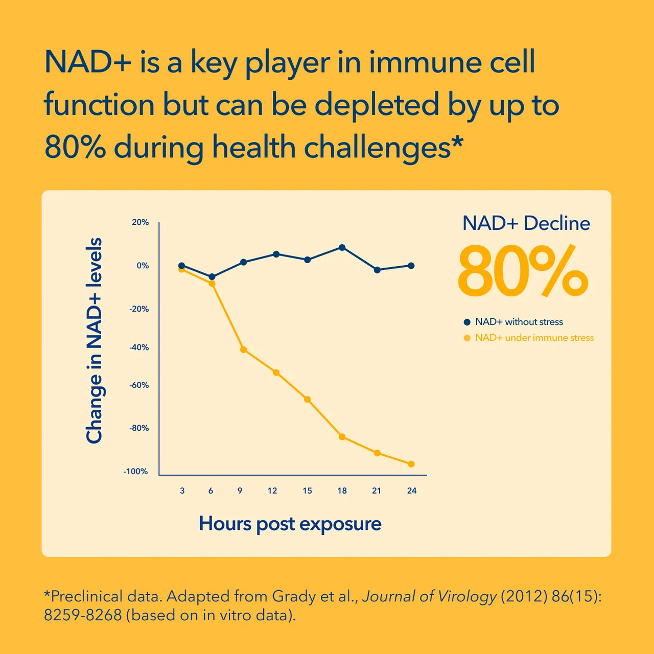 NAD+ levels decline line chart, preclinical data graphic