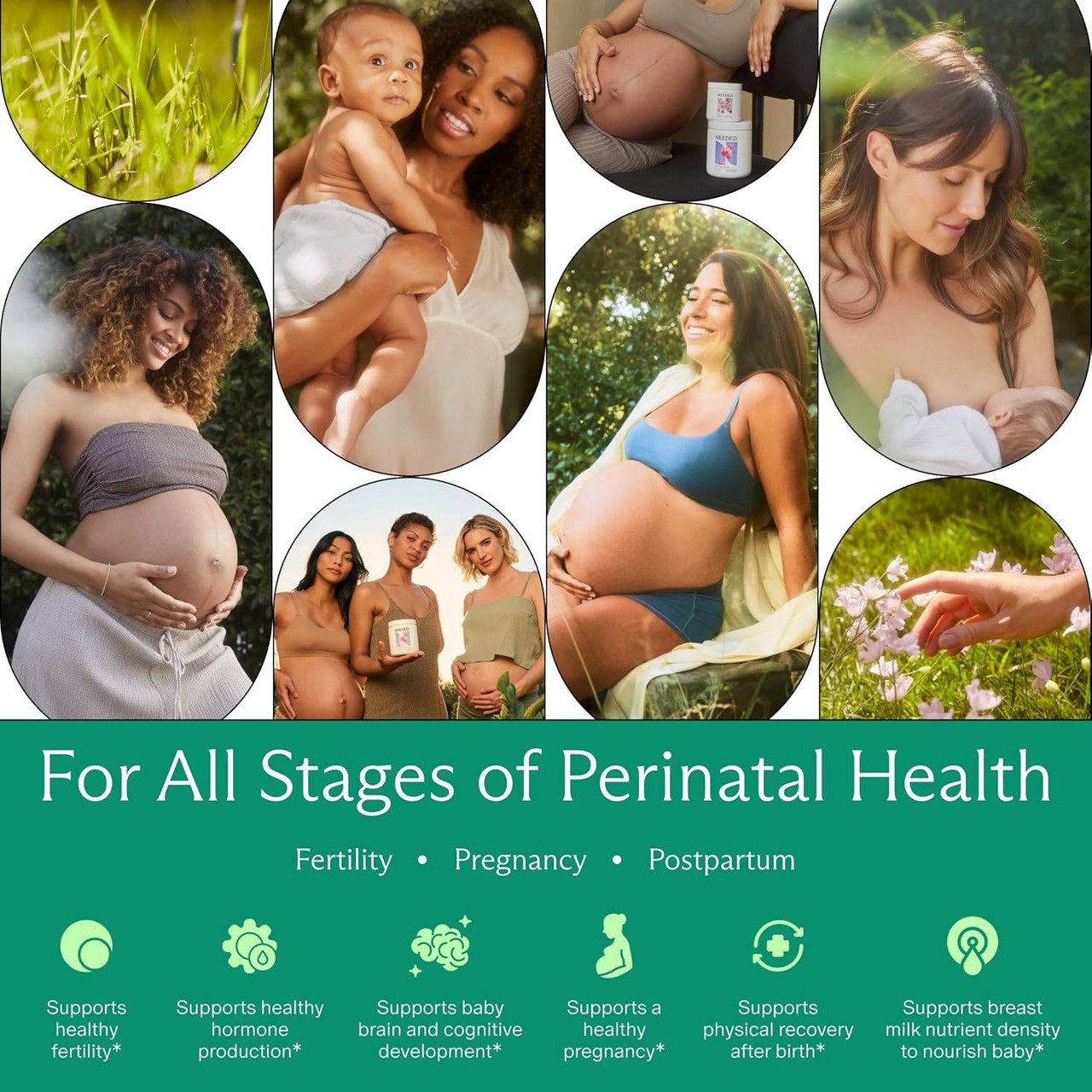 Collage of pregnant and new mothers, for all stages of perinatal health graphic