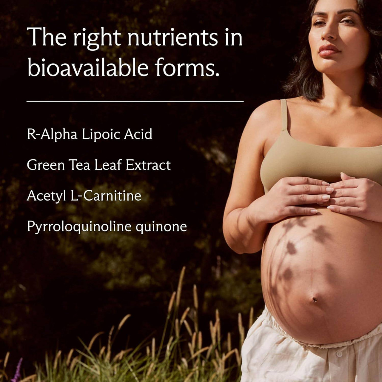 Needed Egg Quality Support - 60 Capsules