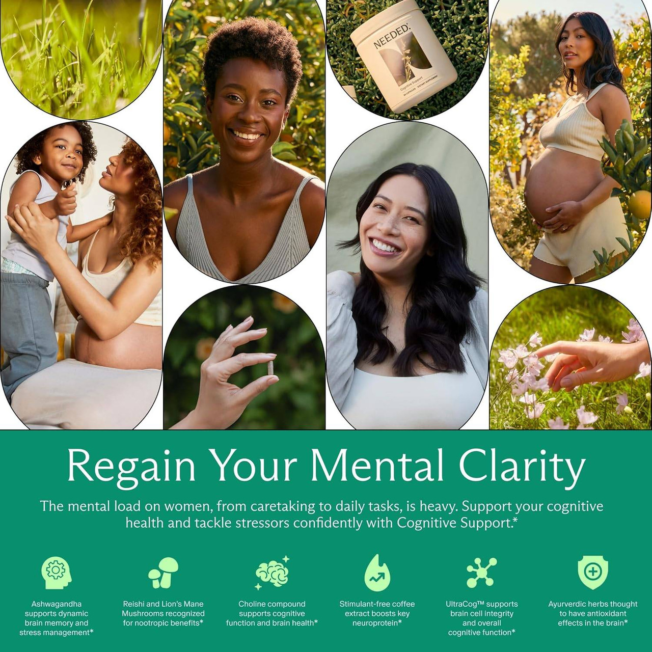 Needed Cognitive Support - 60 Capsules