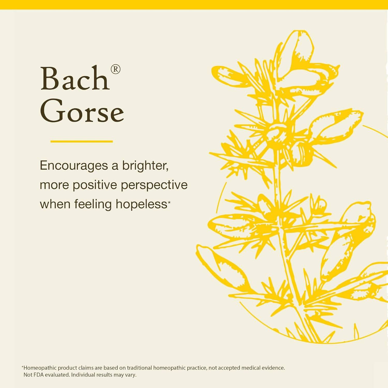 Bach Gorse brighter positive perspective when feeling hopeless graphic