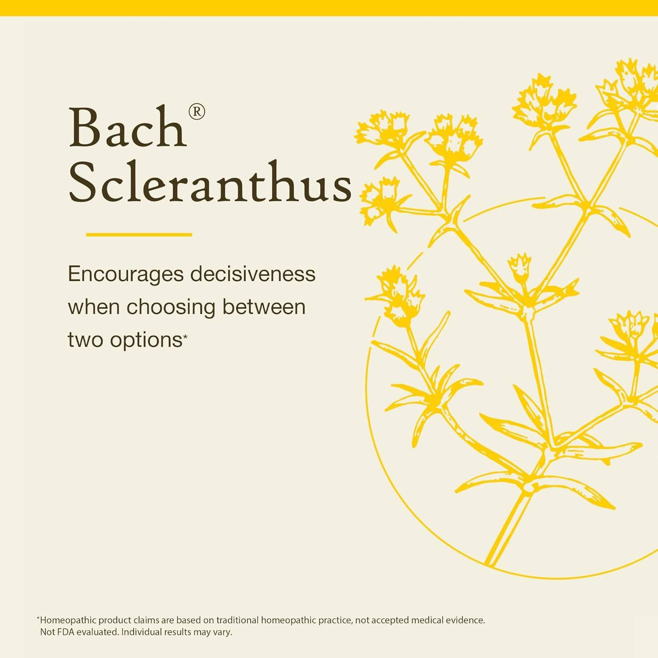 Bach Scleranthus encourages decisiveness when choosing between two options graphic