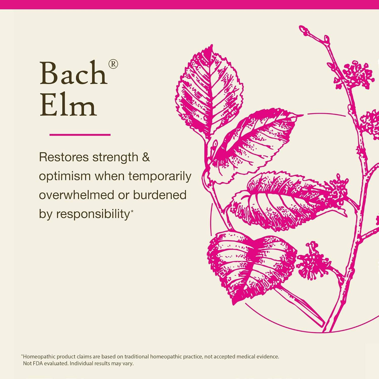 Bach Elm - 20 Milliliters