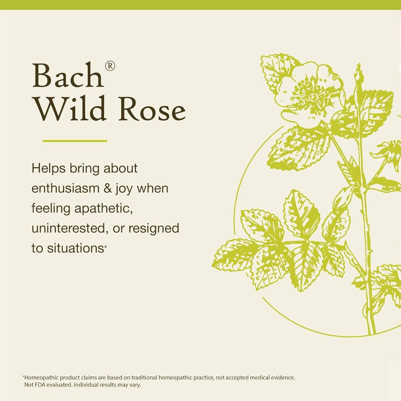 Bach Wild Rose - 20 Milliliters