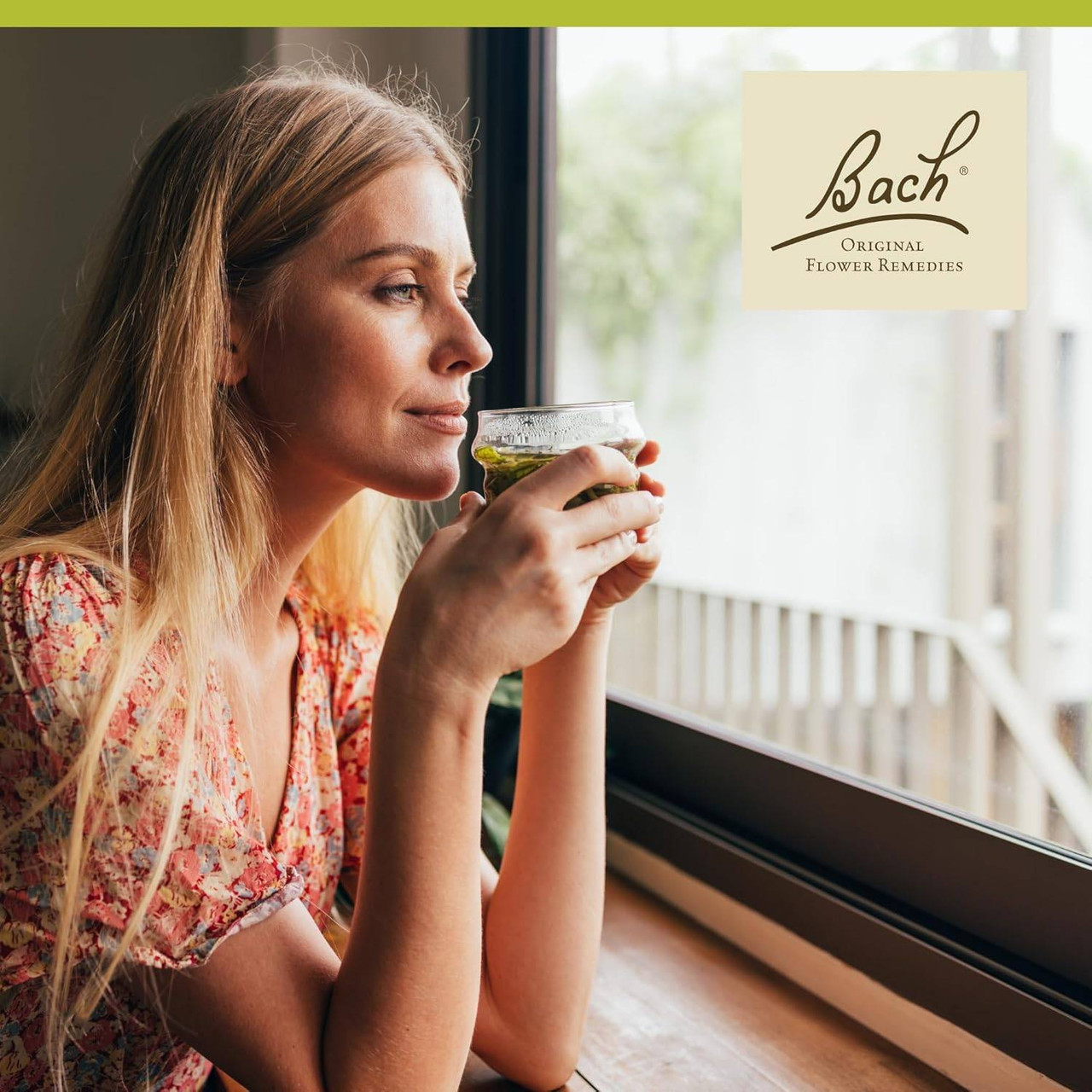 Bach Chestnut Bud - 20 Milliliters