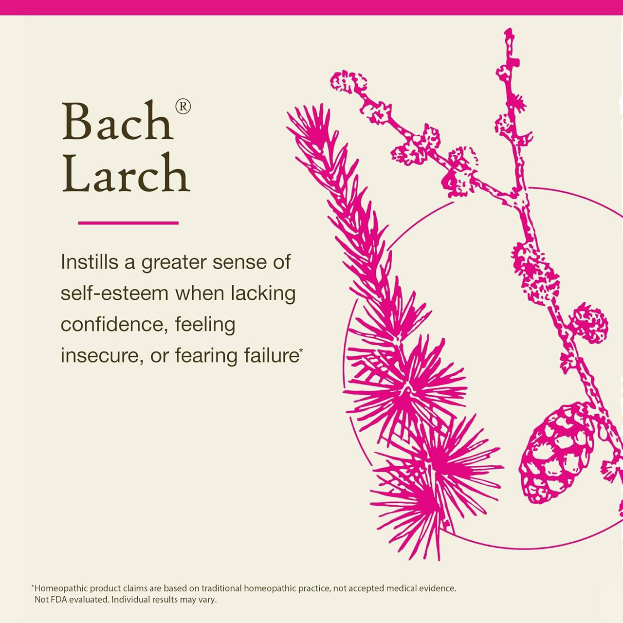 Bach Larch - 20 Milliliters
