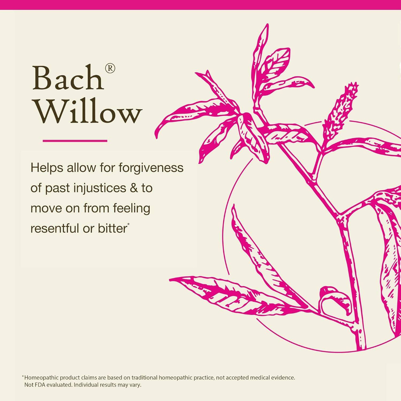 Bach Willow - 20 Milliliters