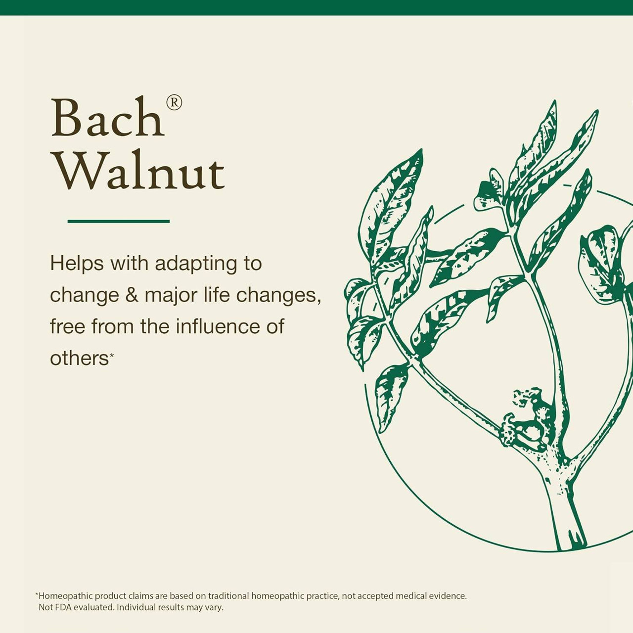 Bach Walnut - 20 Milliliters