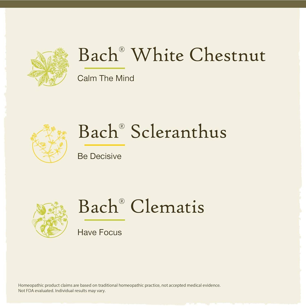 Clarity of Mind kit White Chestnut calm mind Scleranthus decisive Clematis focus graphic