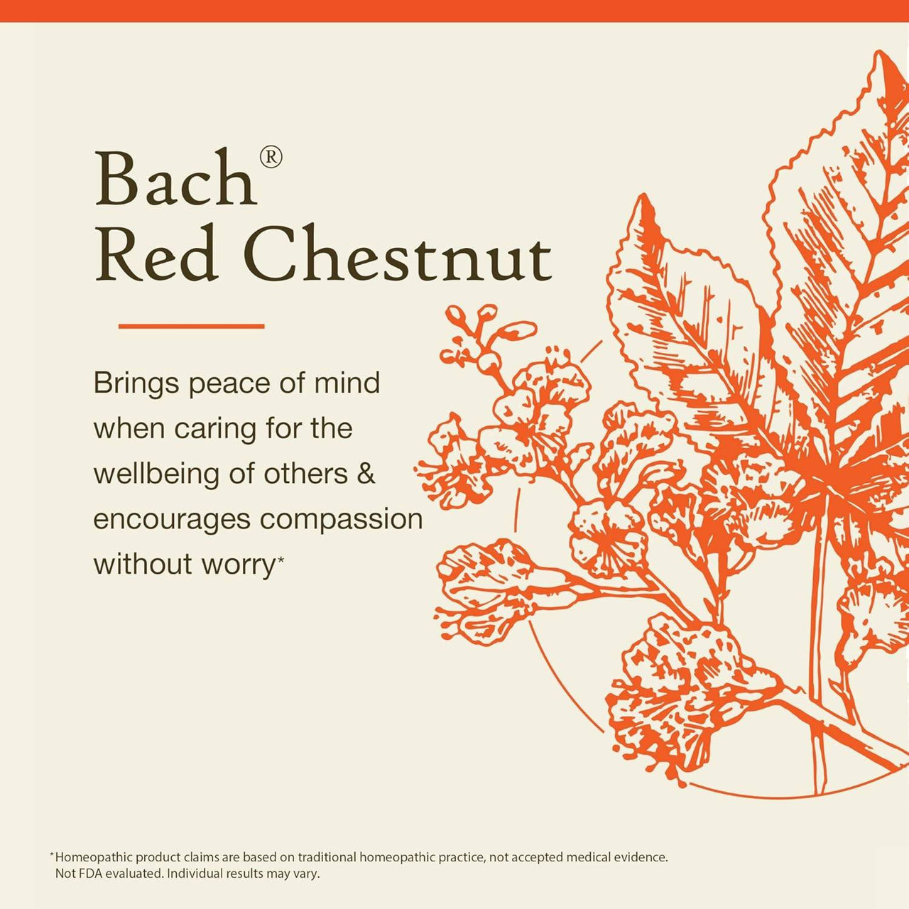 Bach Red Chestnut peace of mind when caring for others without worry graphic