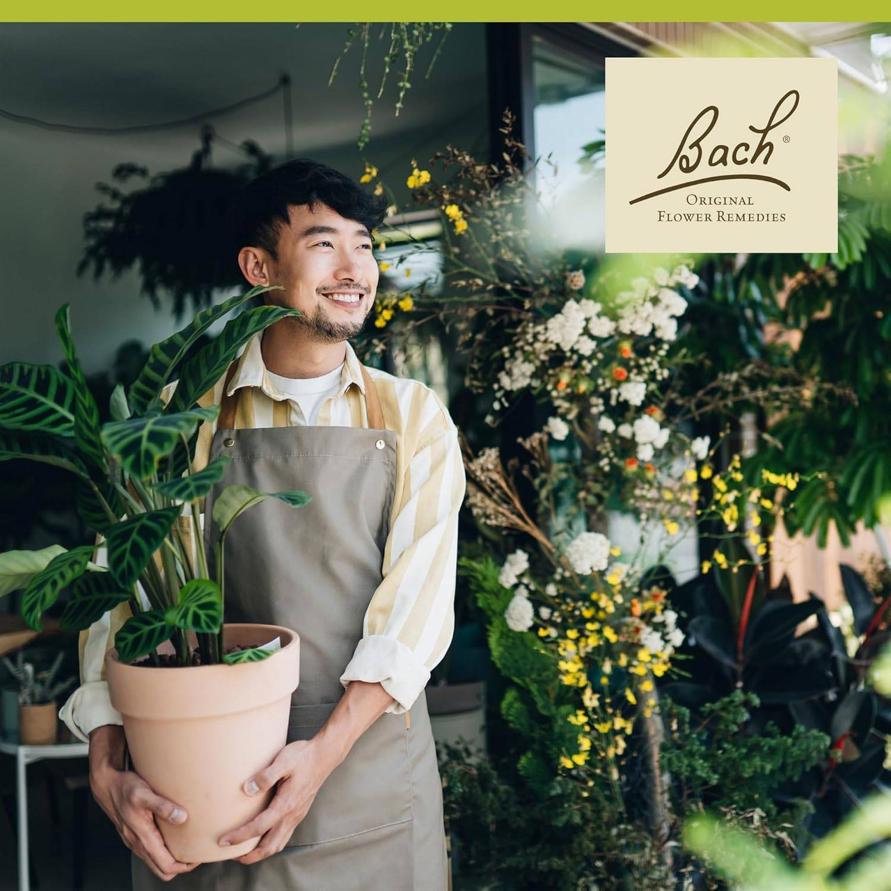 Bach Olive - 20 Milliliters