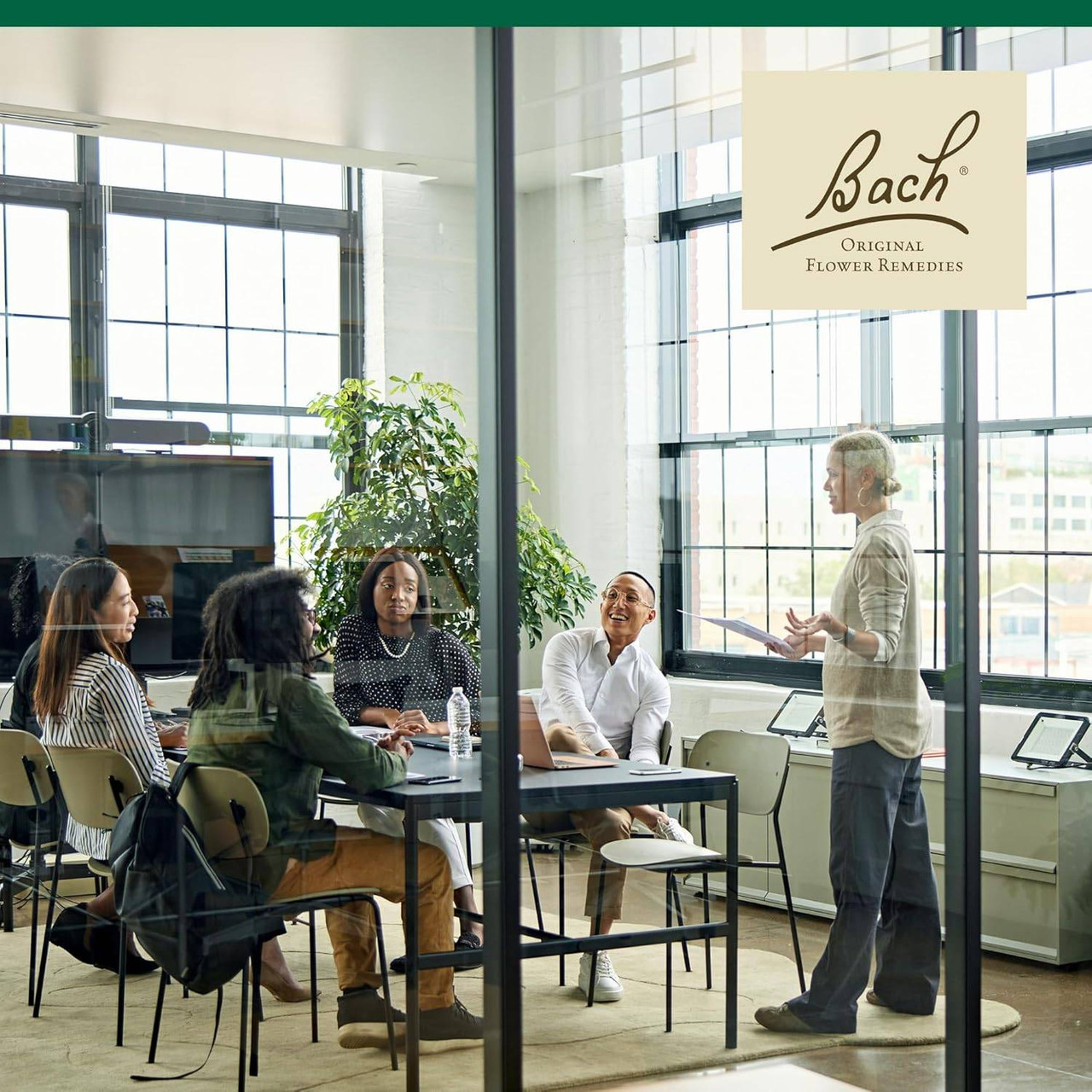 Bach Centaury - 20 Milliliters