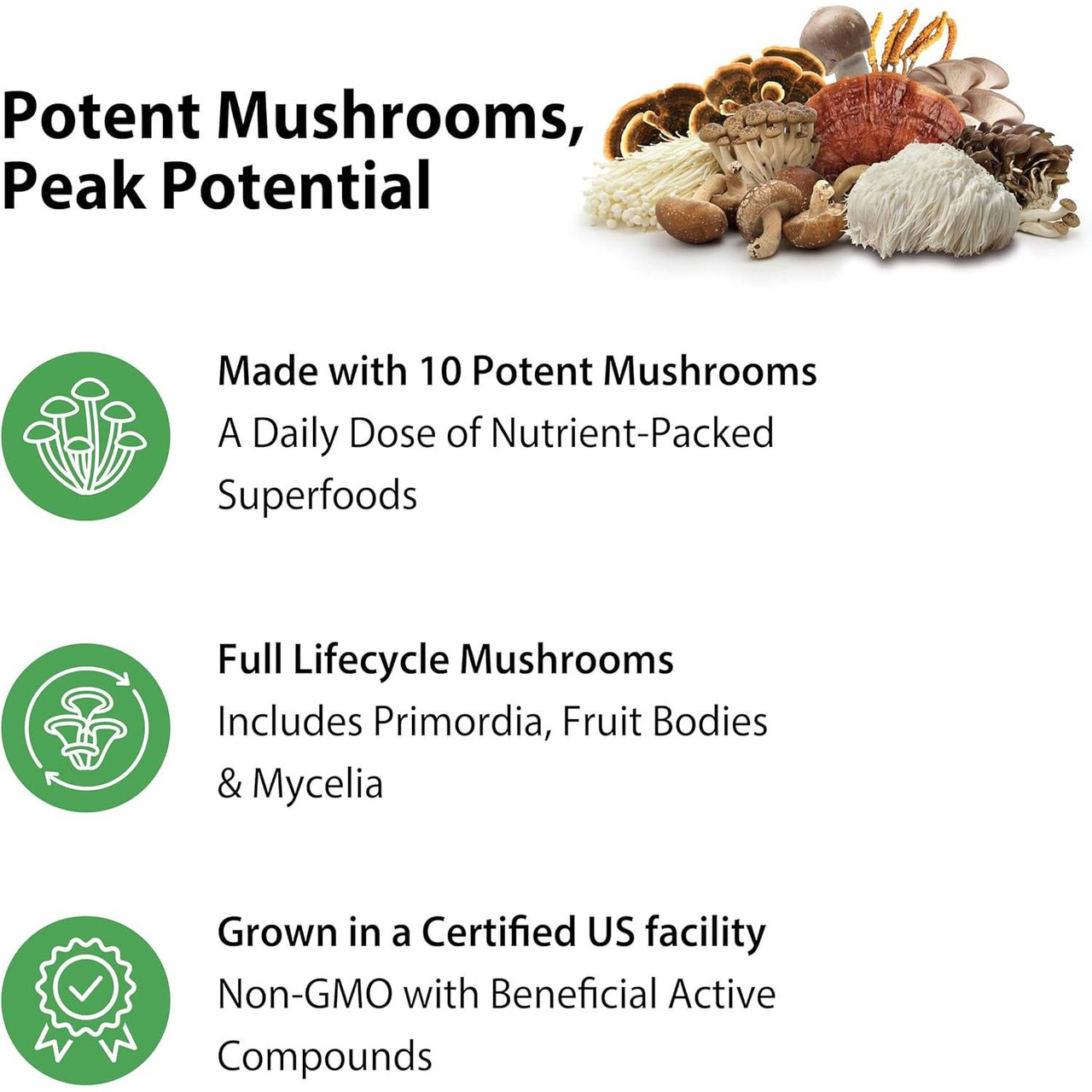 Rainbow Light Mushroom Complex - 60 Capsules