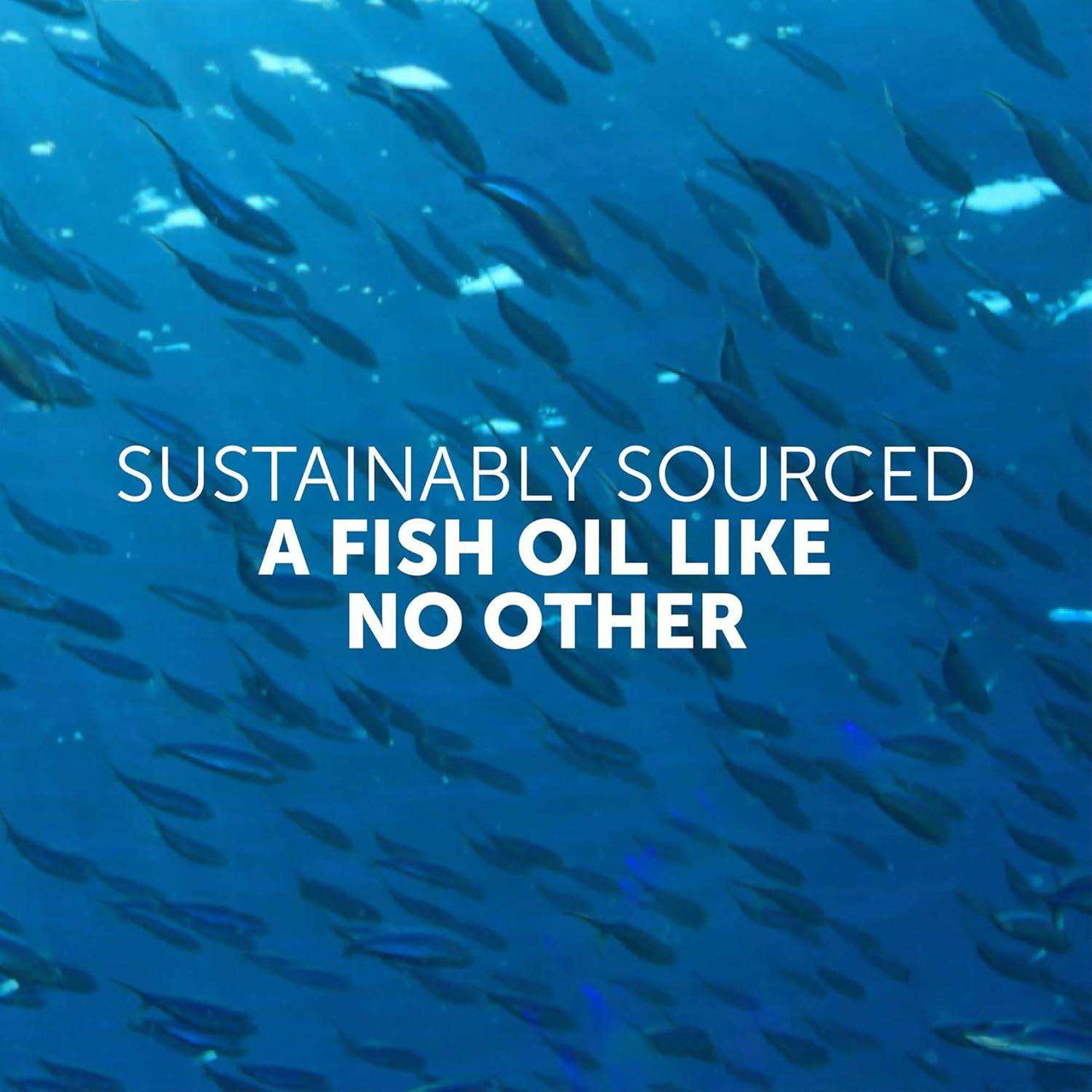 School of fish underwater, Aqua Biome sustainably sourced fish oil graphic