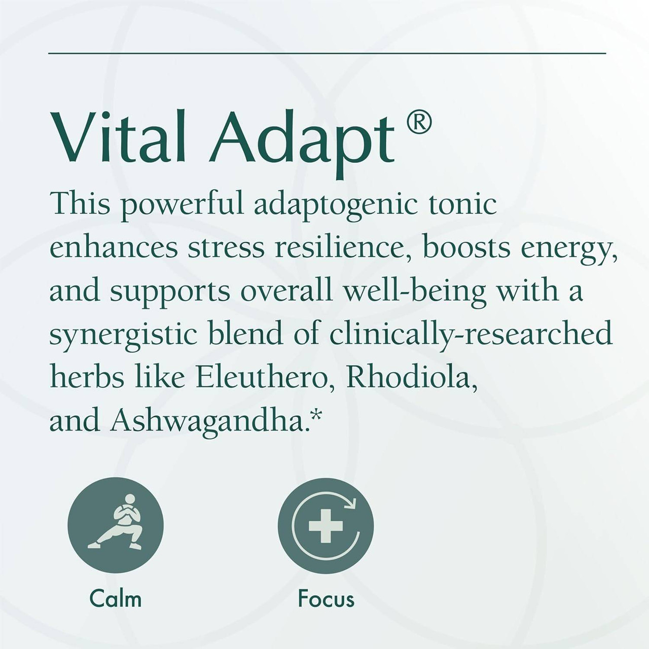 Natura Health Products Vital Adapt - Capsules - 60 Capsules