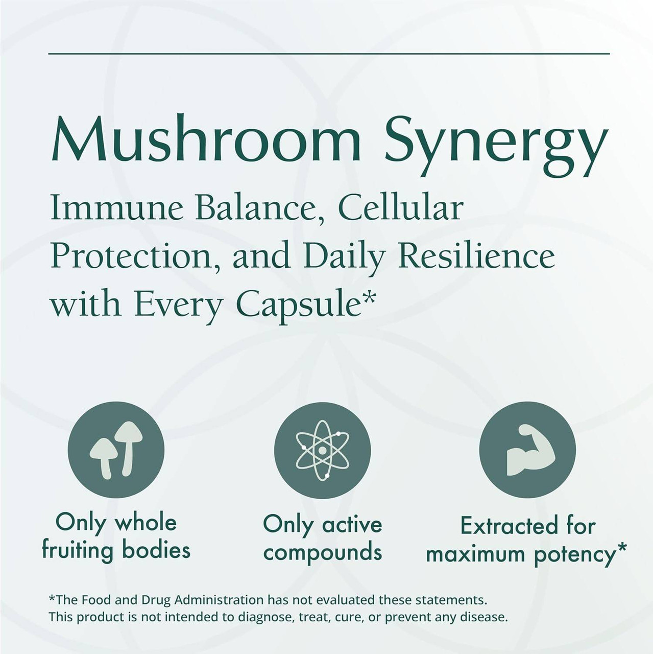 Natura Health Products Mushroom Synergy - 180 Capsules