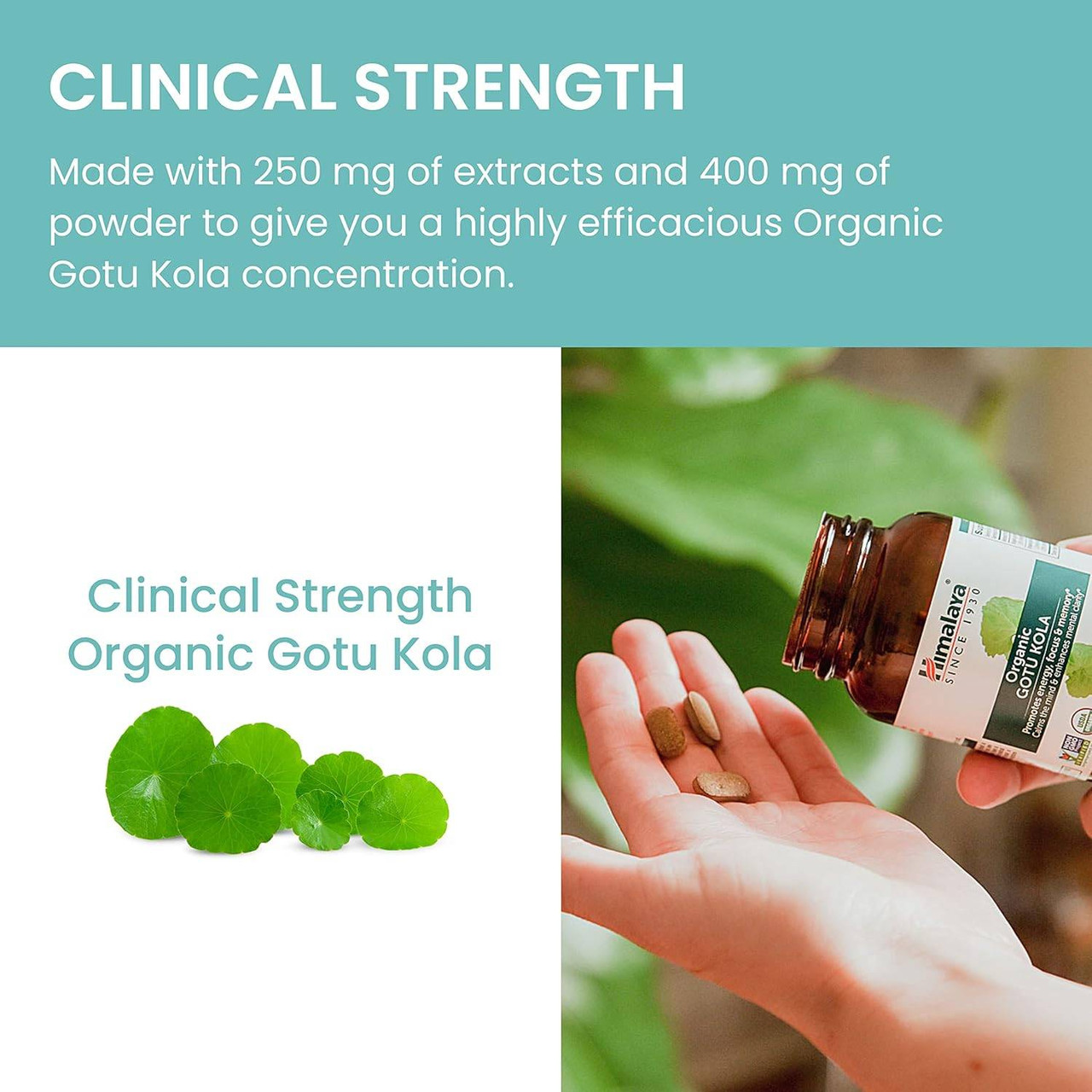 Himalaya Wellness Organic Gotu Kola - 90 Caplets
