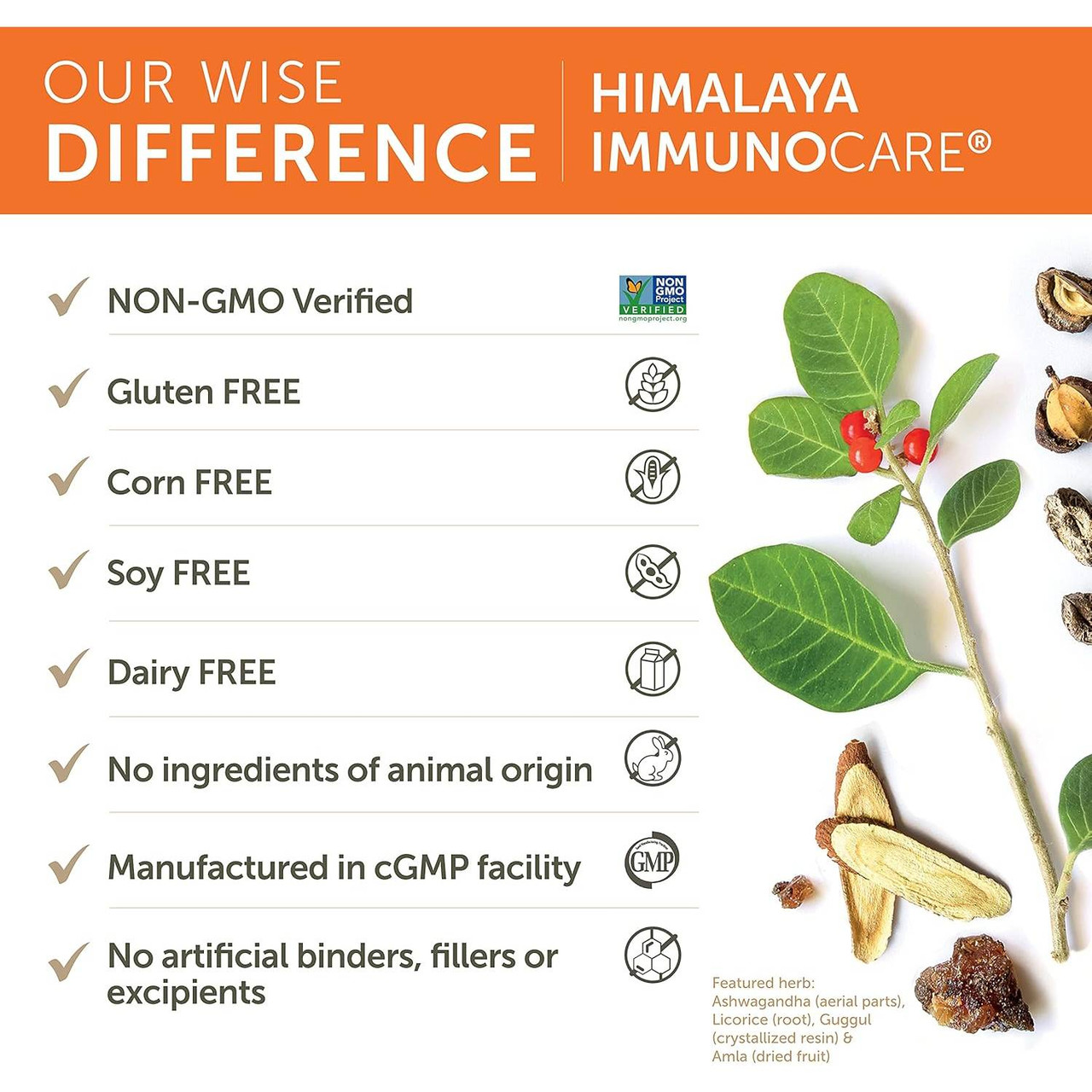 Himalaya Wellness ImmunoCare - 120 Capsules