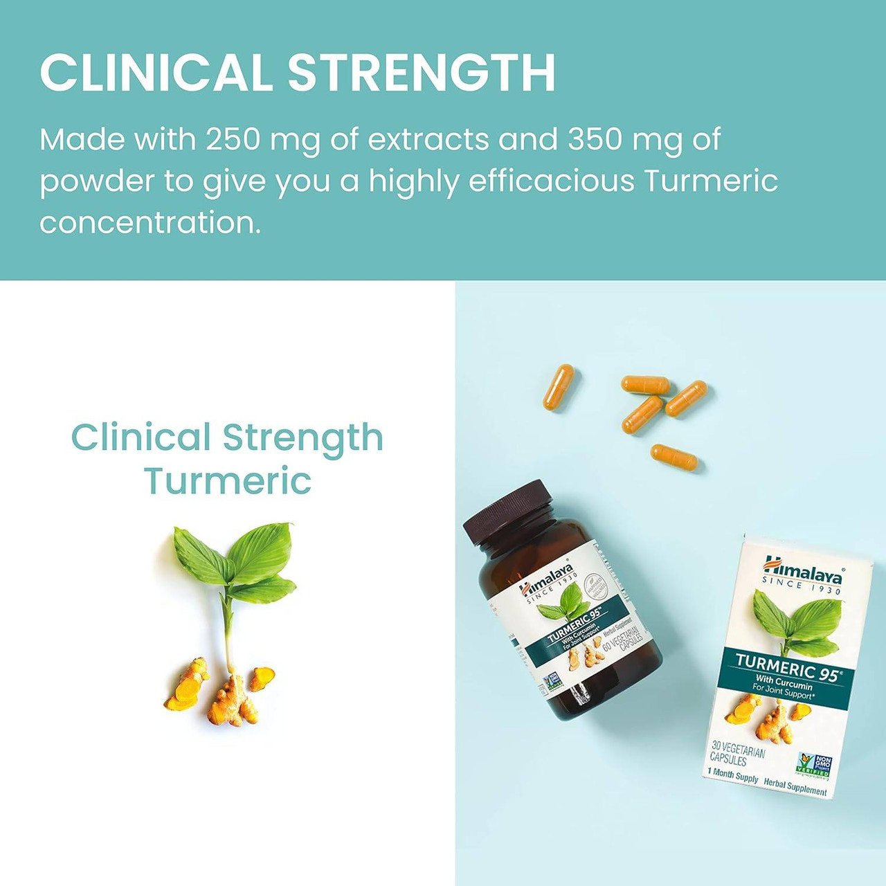 Himalaya Wellness Turmeric 95 - 60 Capsules