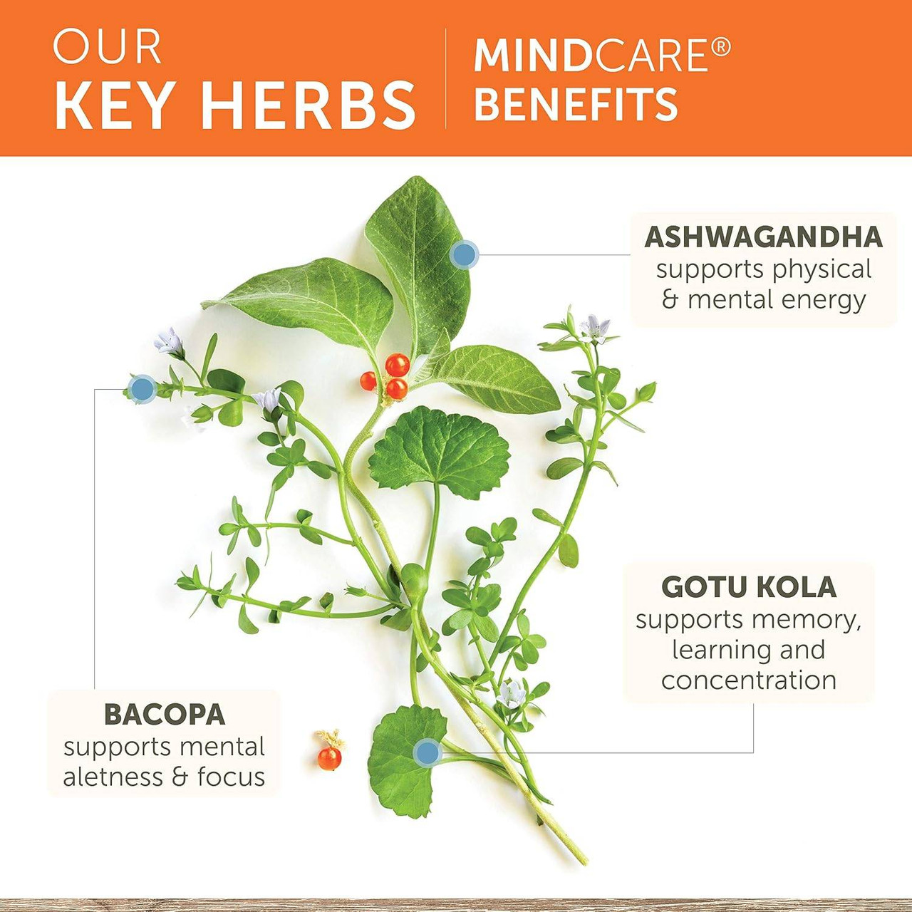 Himalaya Wellness MindCare - 60 Caplets