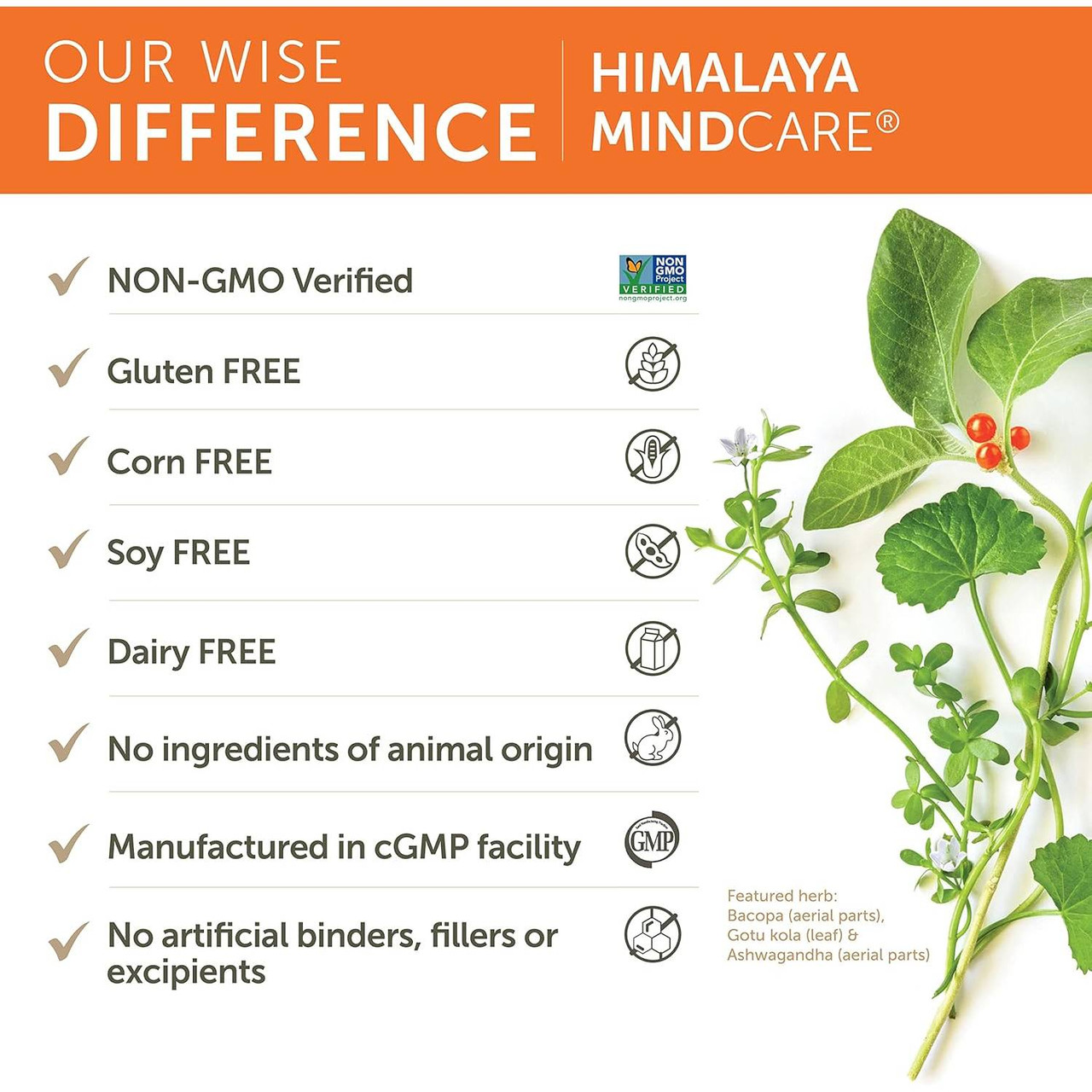 Himalaya Wellness MindCare - 60 Caplets