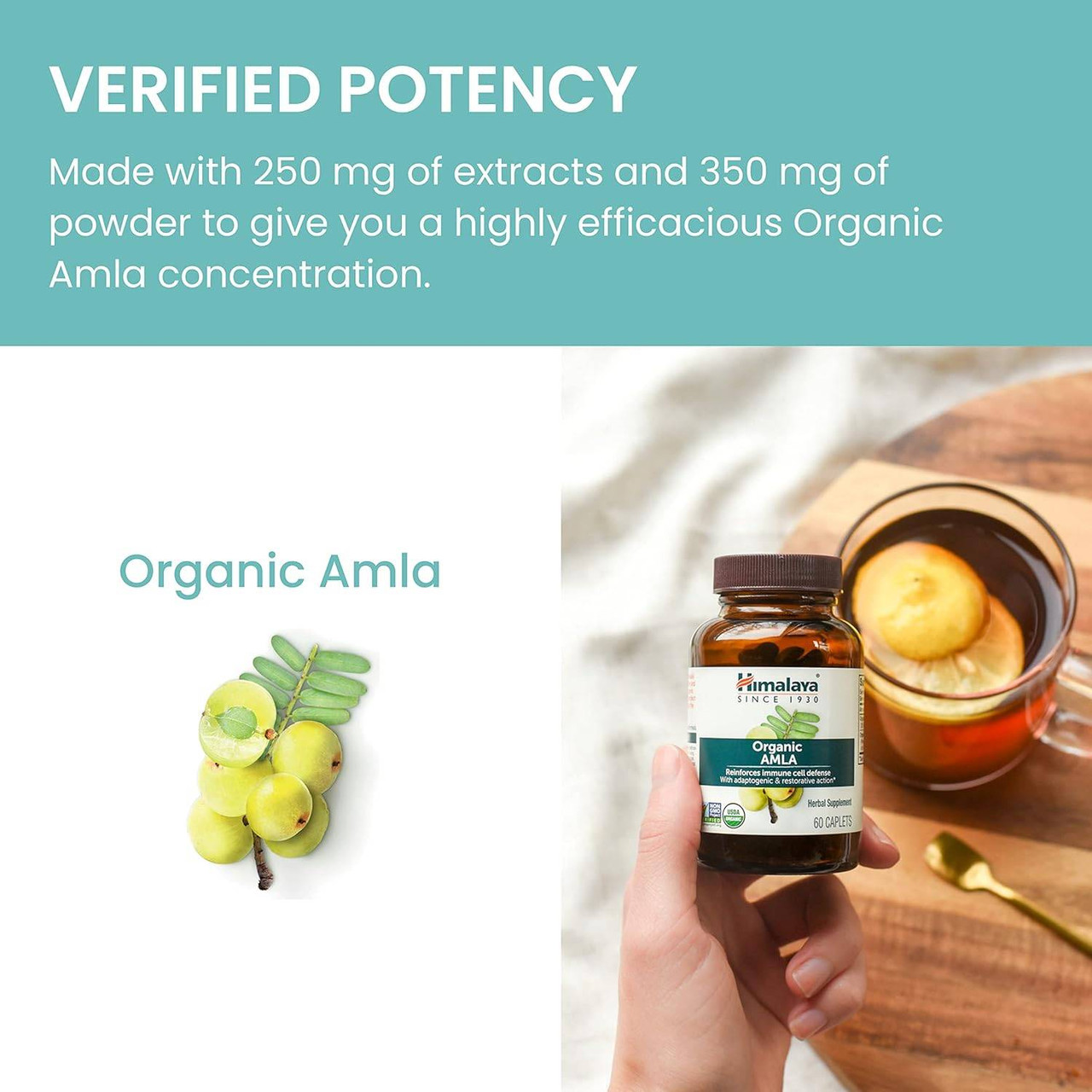 Himalaya Wellness Organic Amla - 60 Caplets