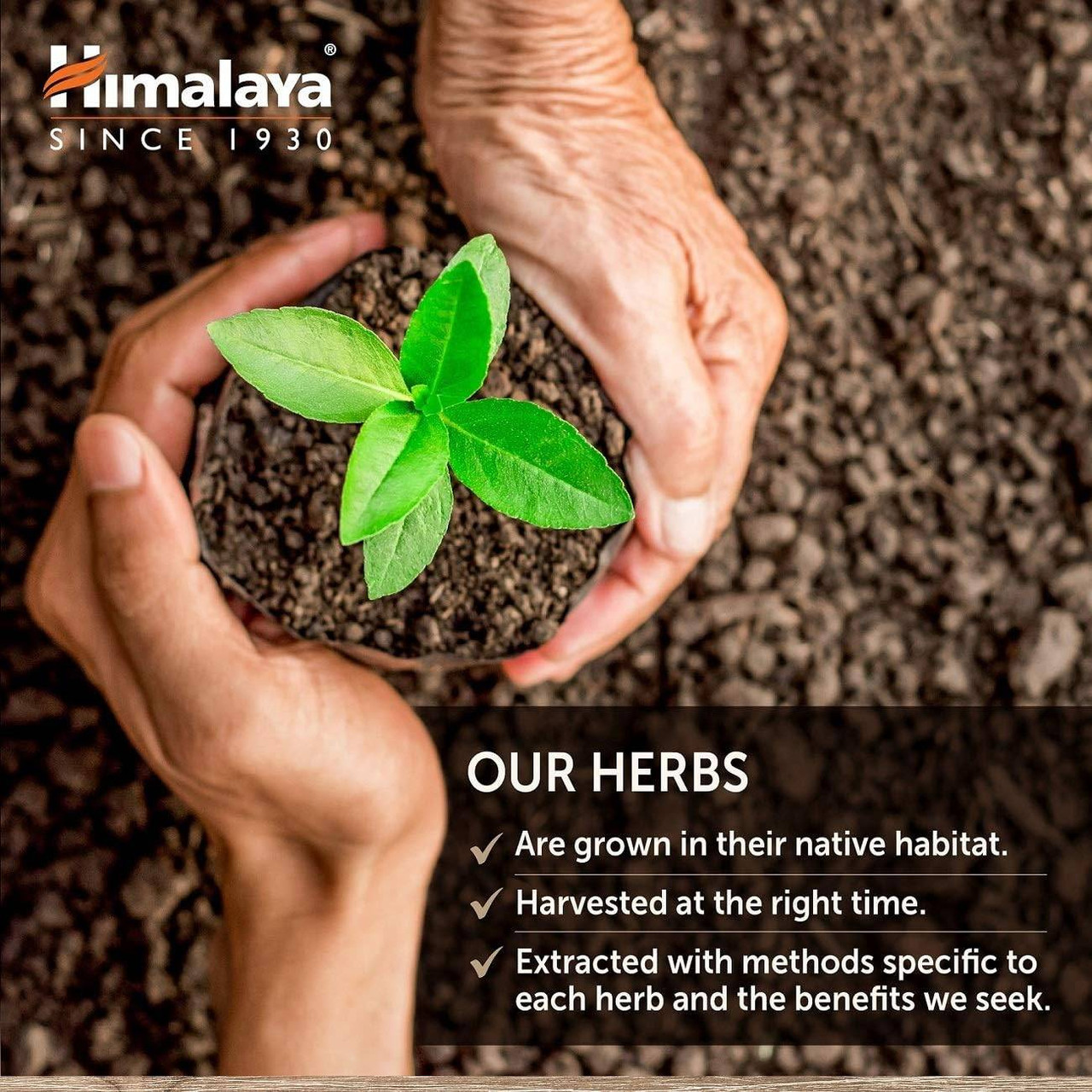 Himalaya Wellness UriCare - 120 Capsules