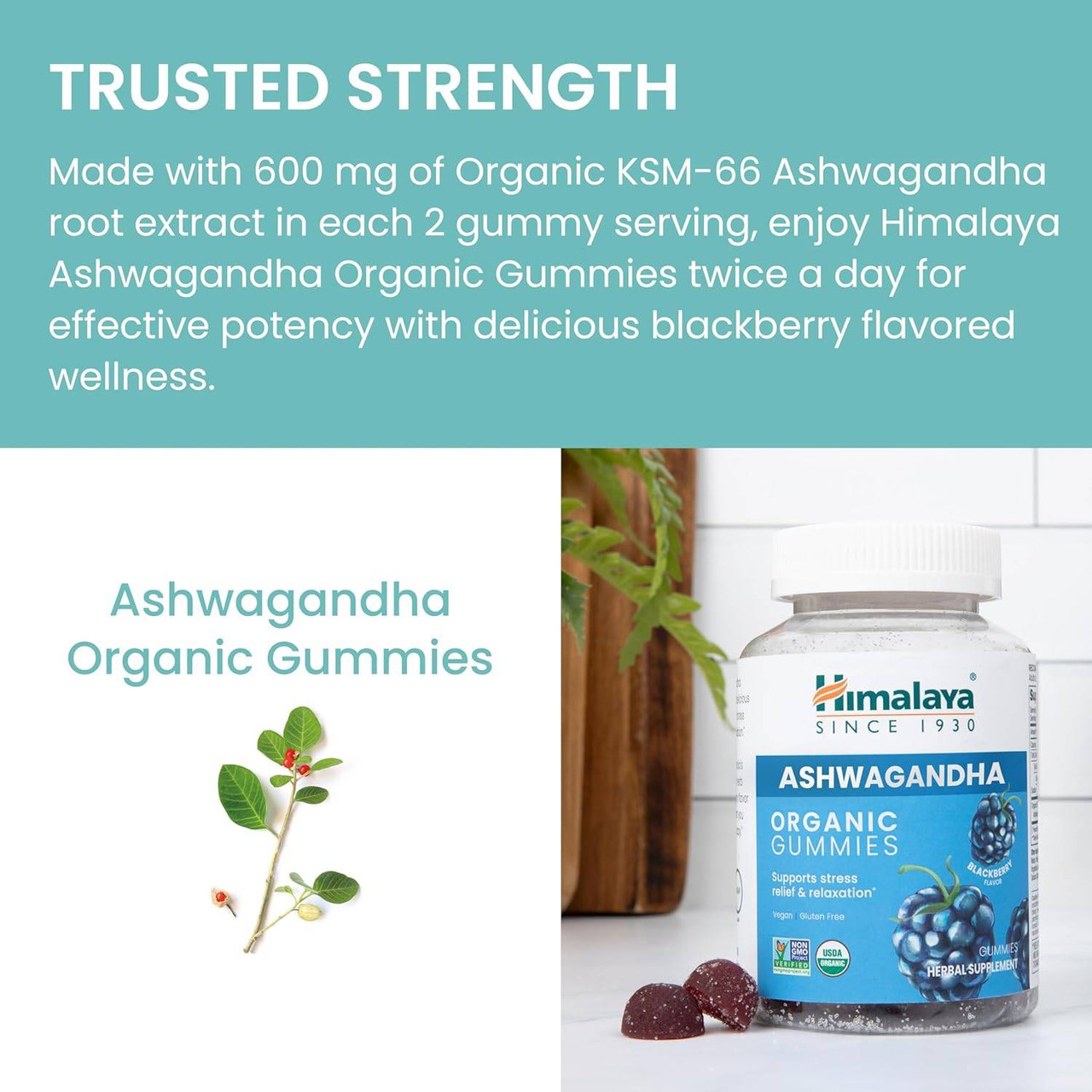 Himalaya Wellness Ashwagandha Gummies - 56 Gummies