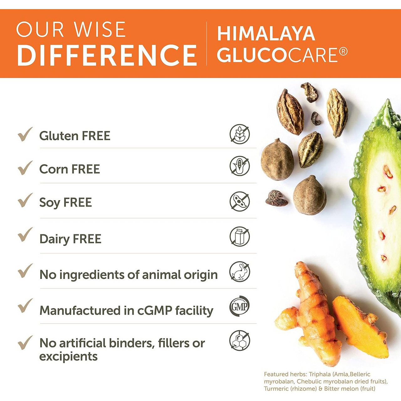Himalaya Wellness GlucoCare - 90 Capsules