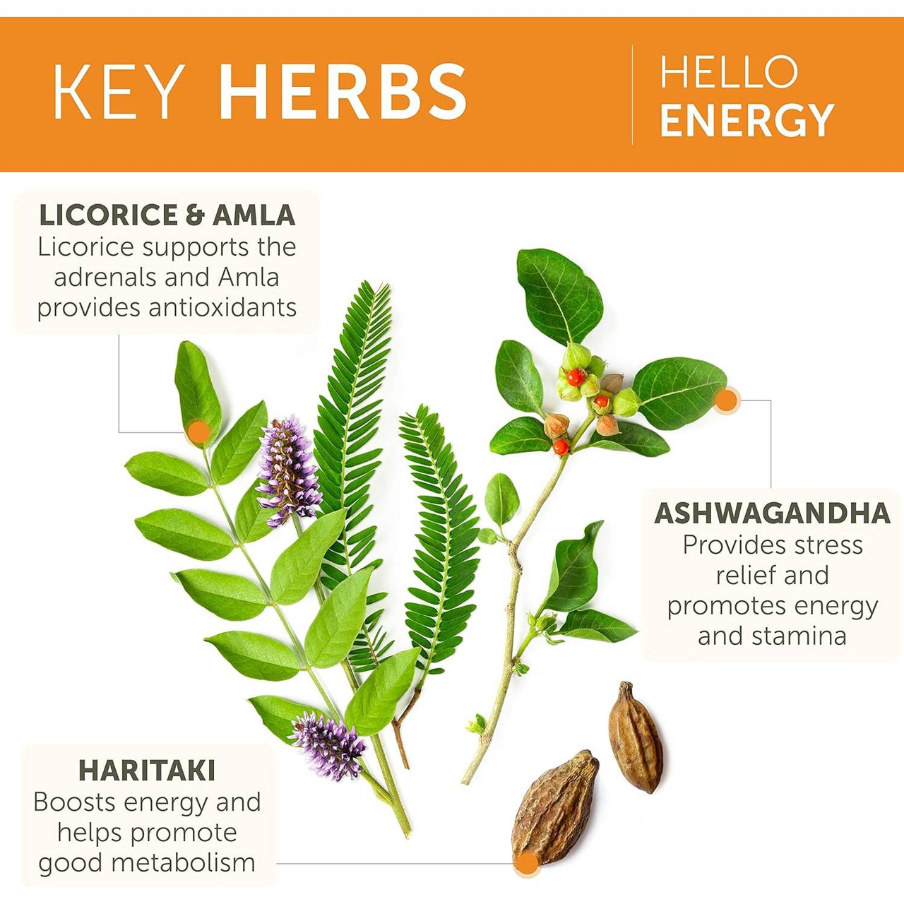 Himalaya Wellness Hello Energy - 60 Capsules